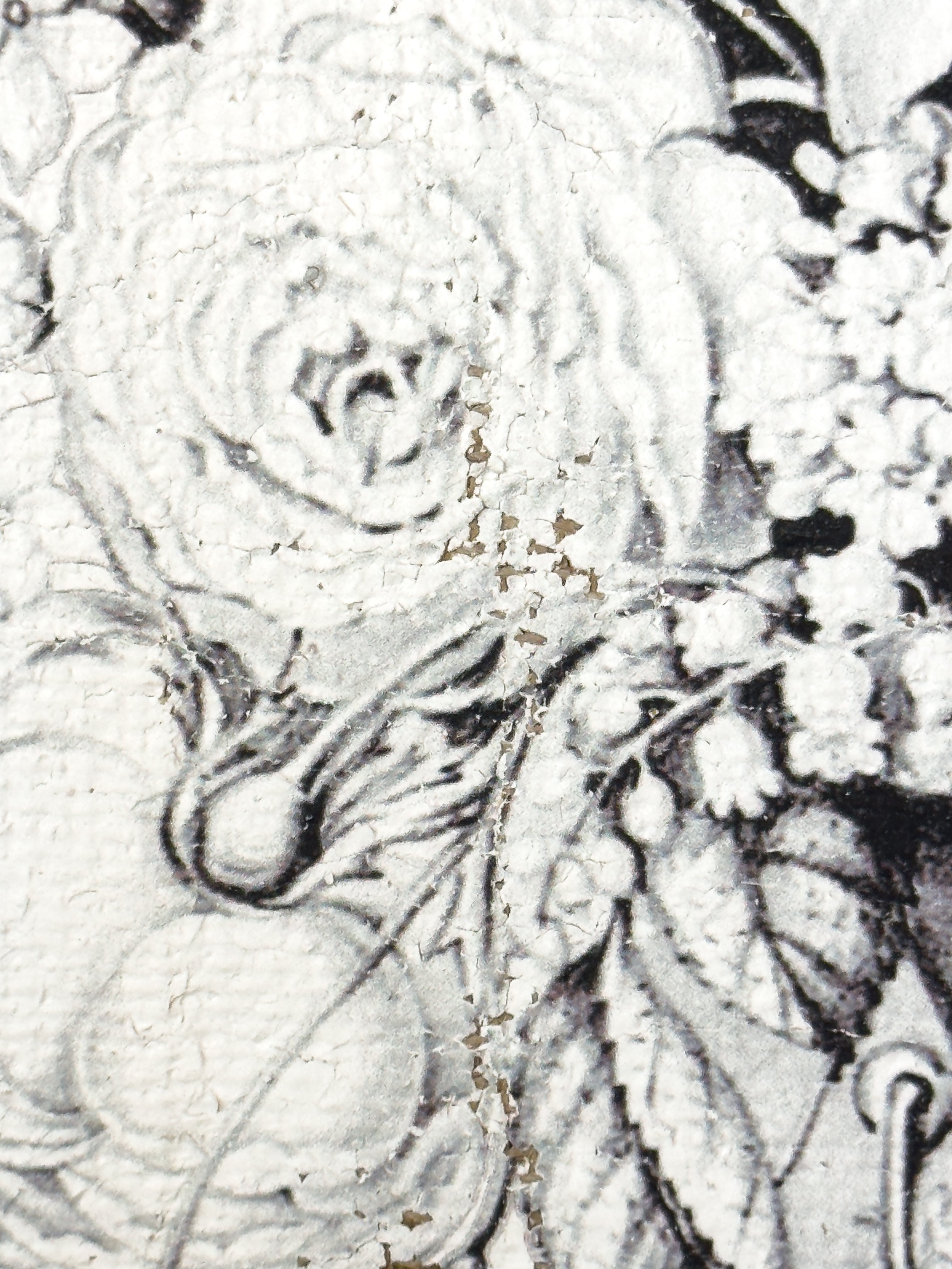 Black and Blanc Opulence