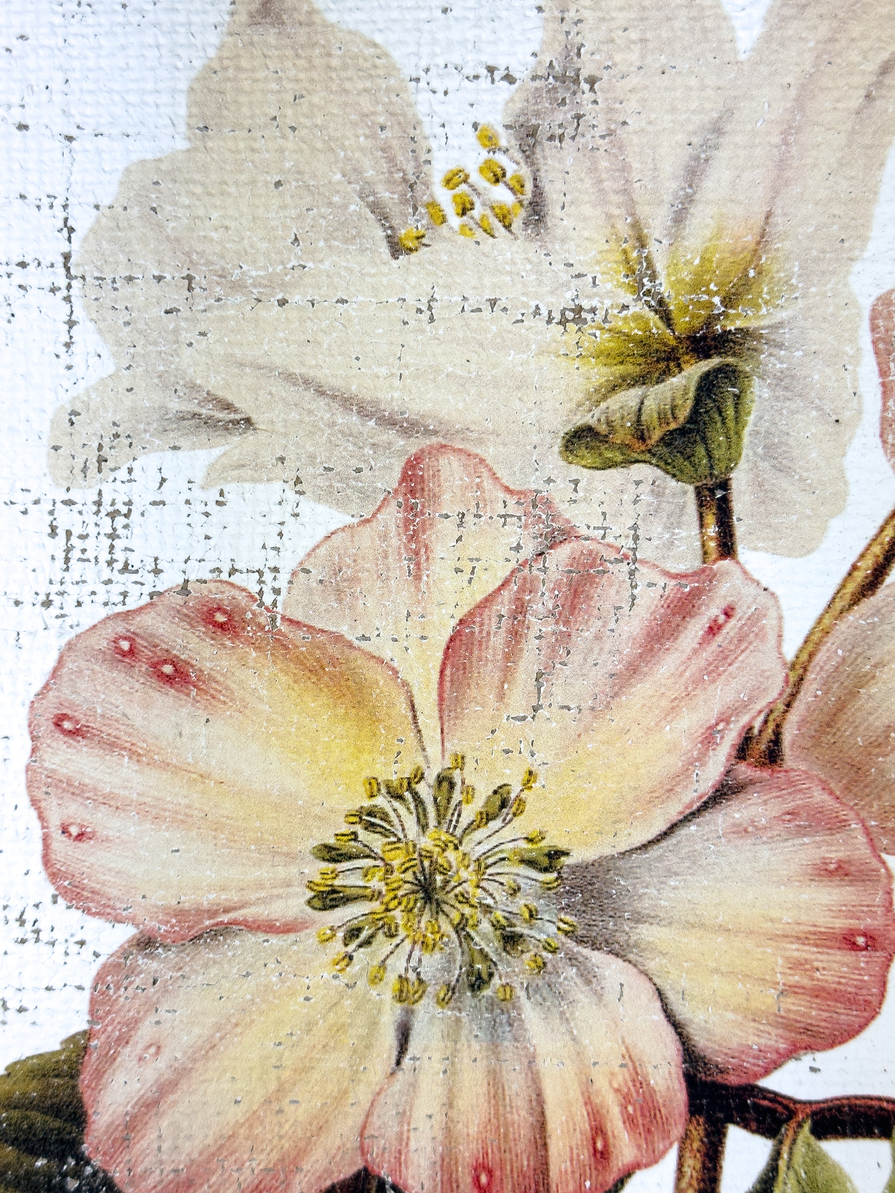 Pink and Cream Flowers - Winter's Jewel