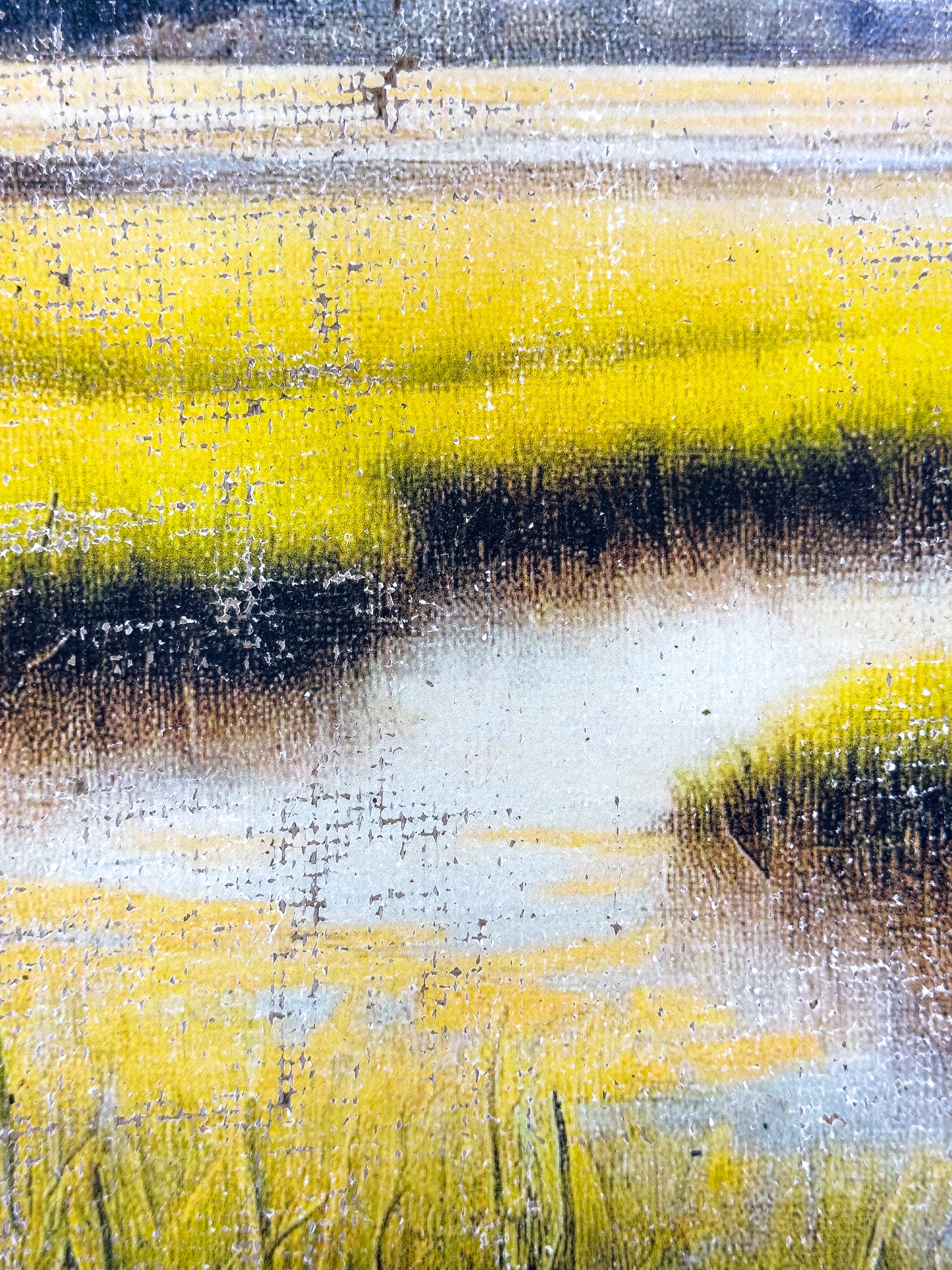 The Magic of the Marsh