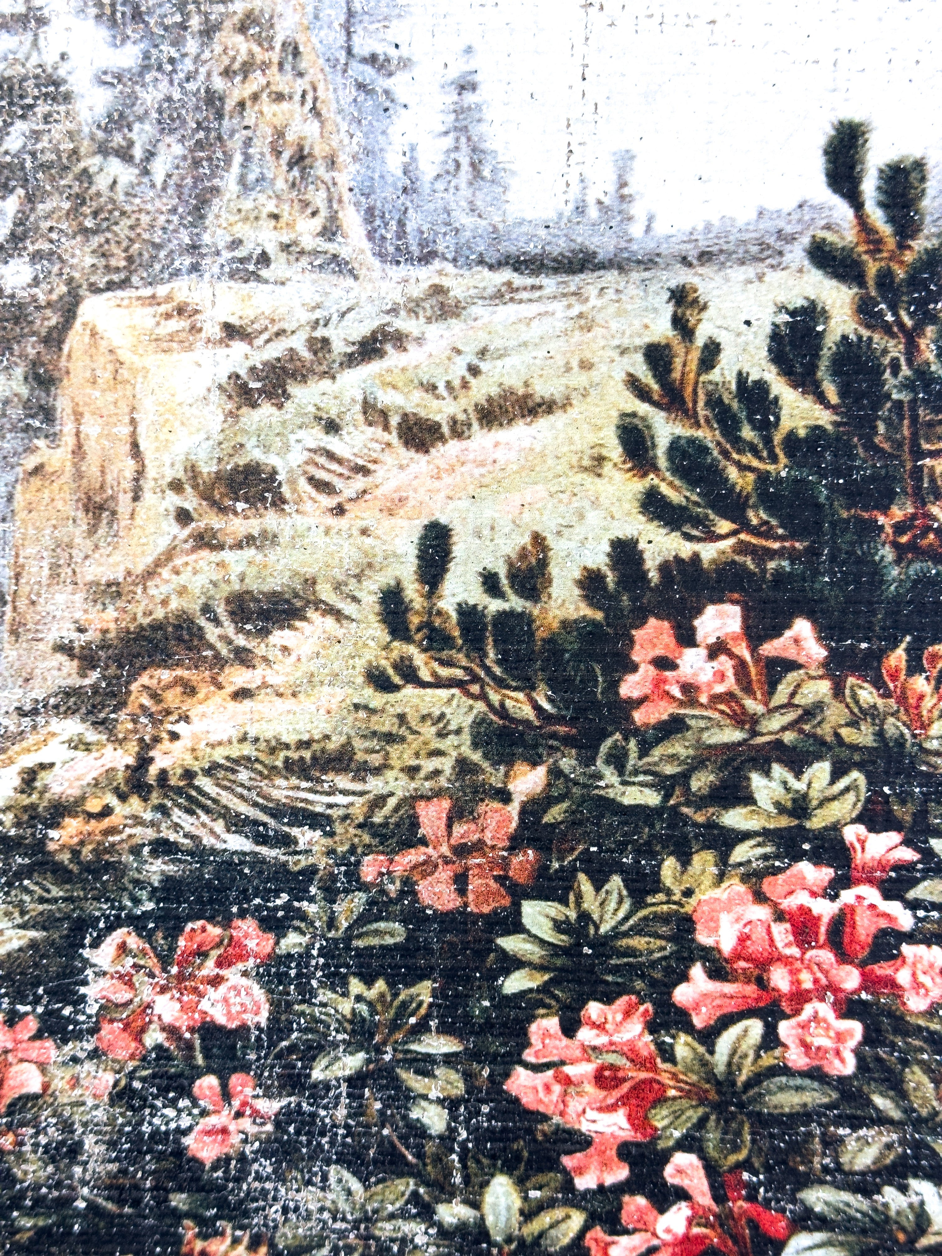 Pink Flowers on a Cliffside