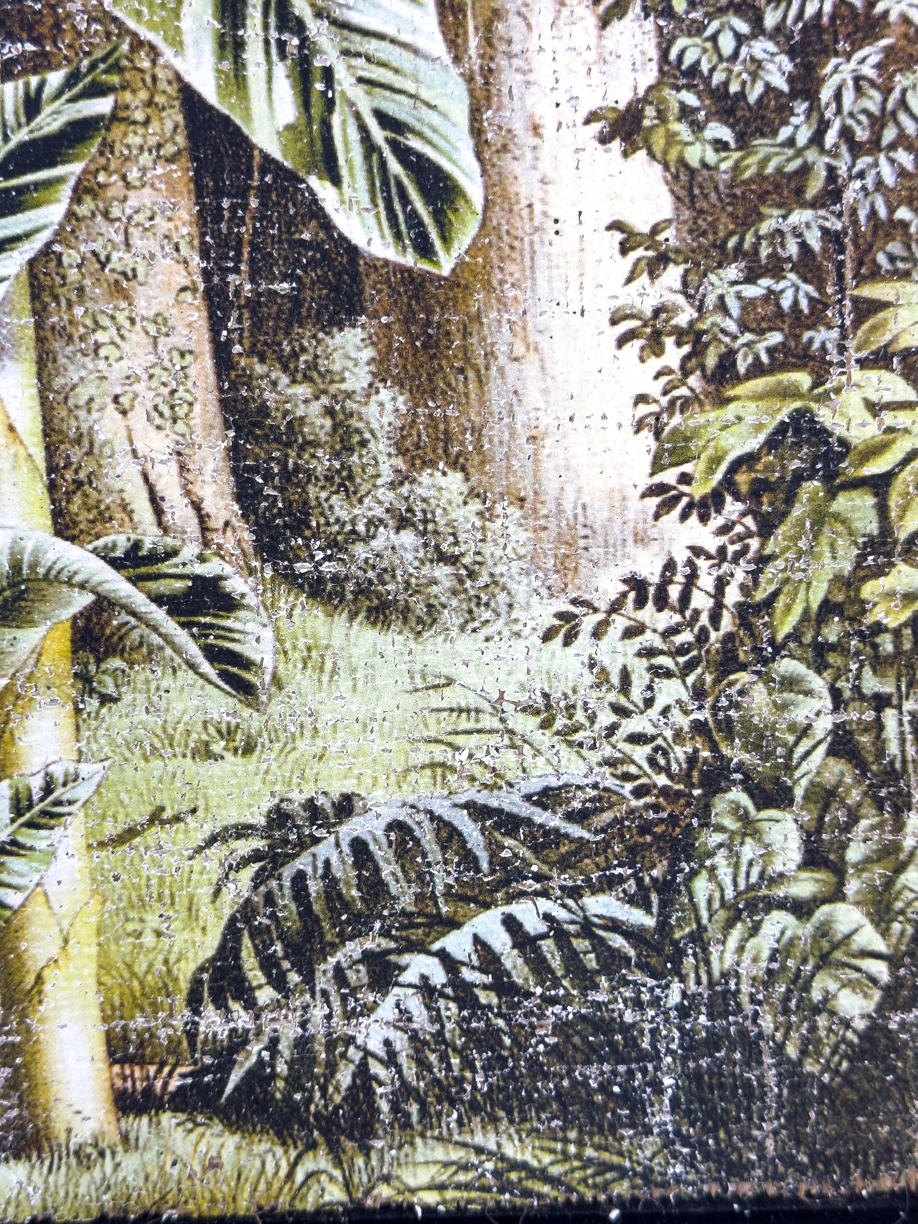 In the Shade of Green