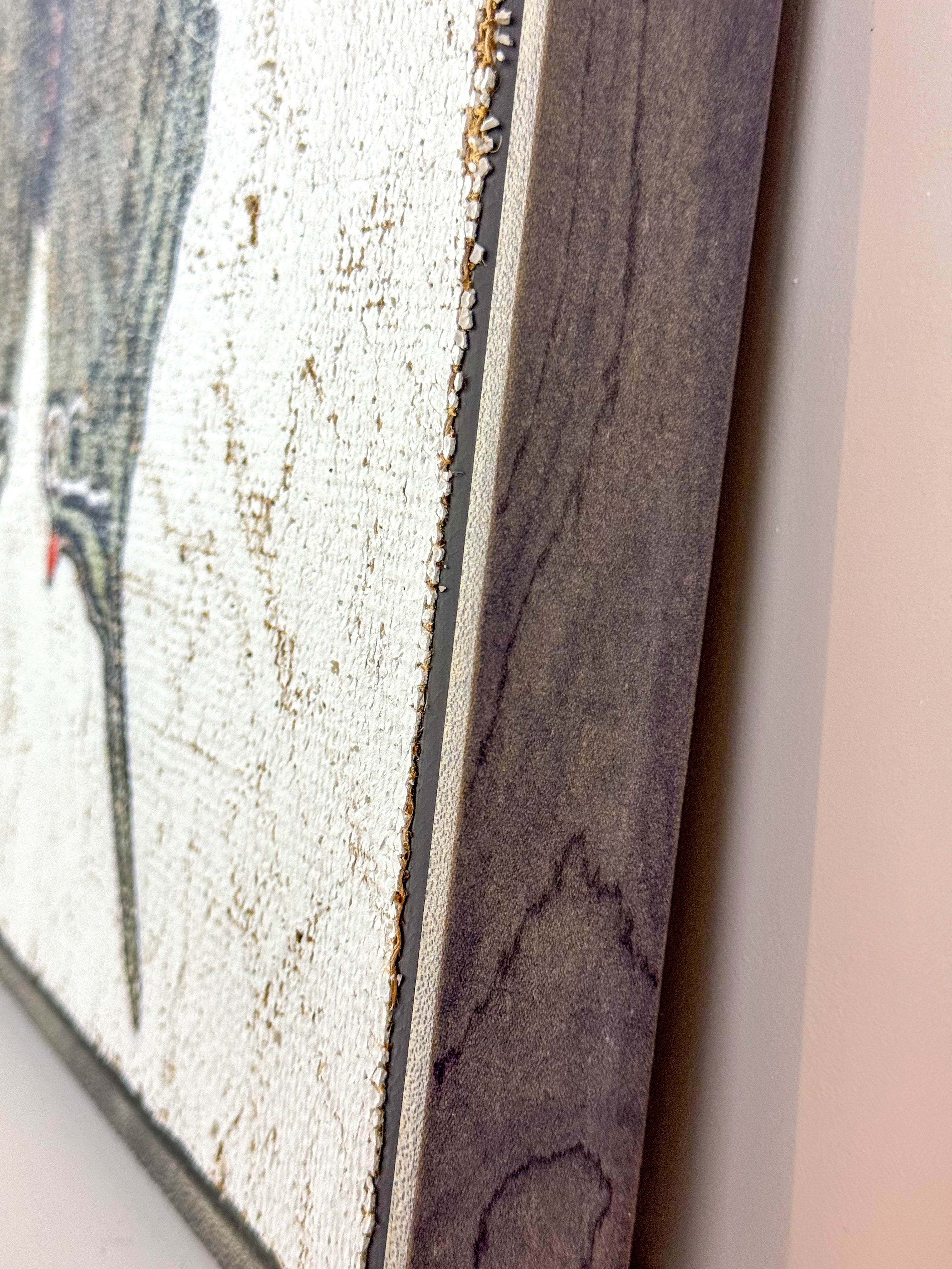 Green Swordtail Butterfly