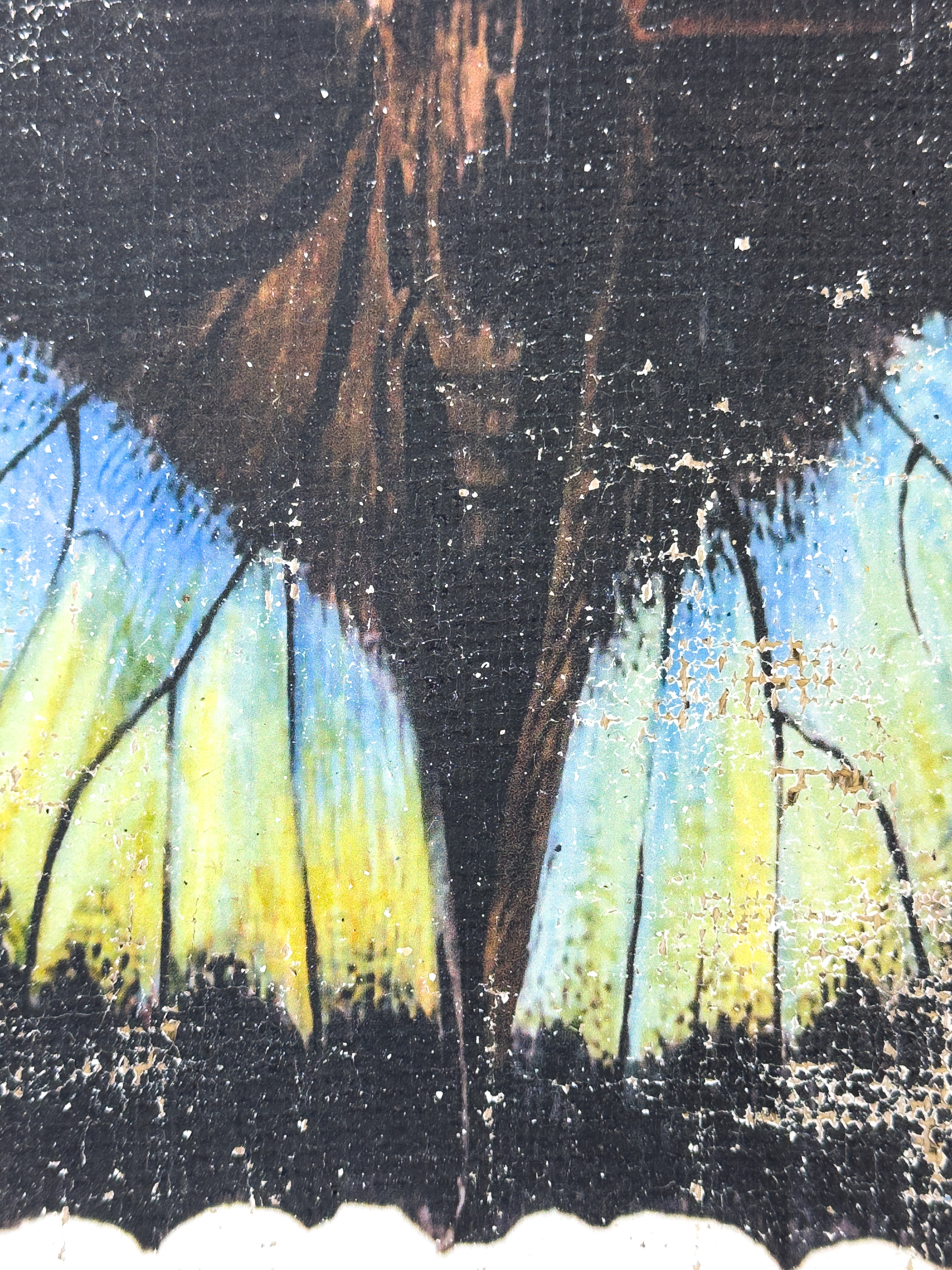 Blue Green Butterfly