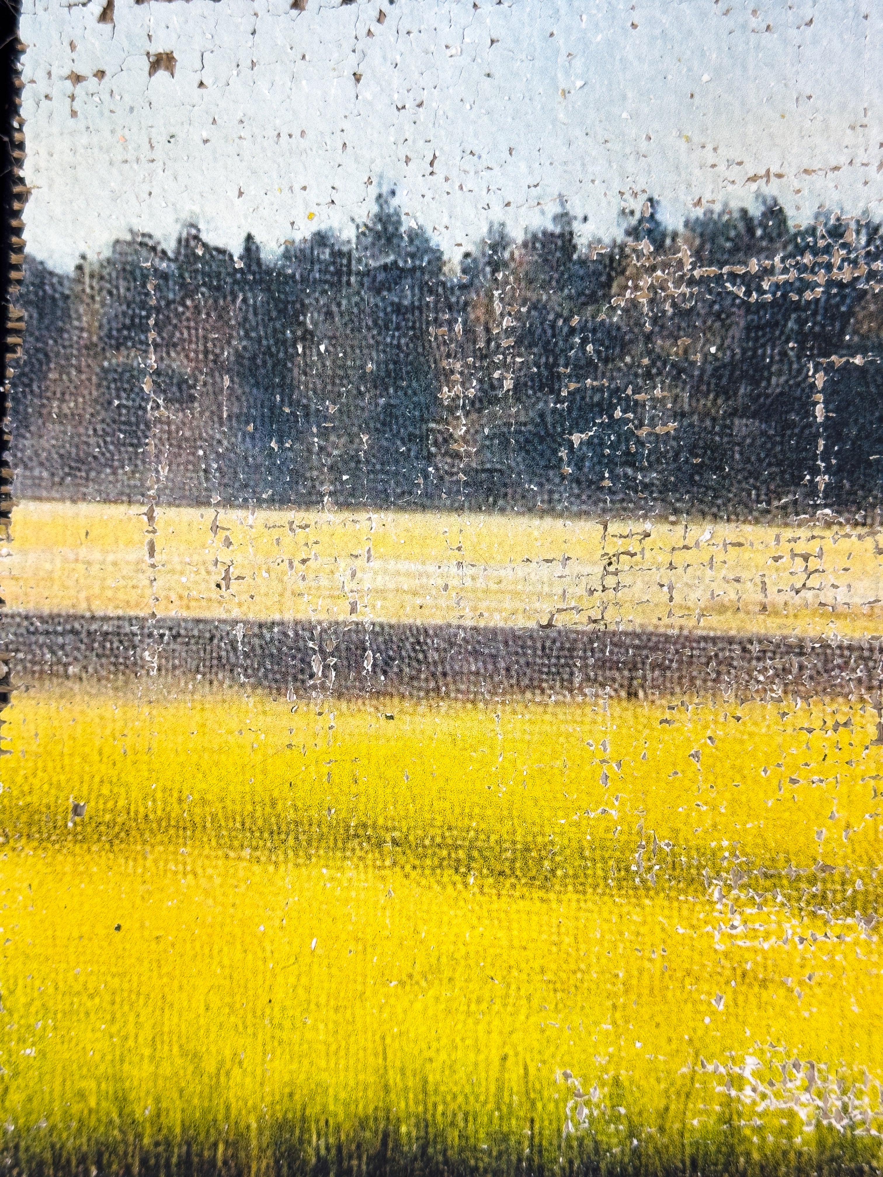 The Magic of the Marsh