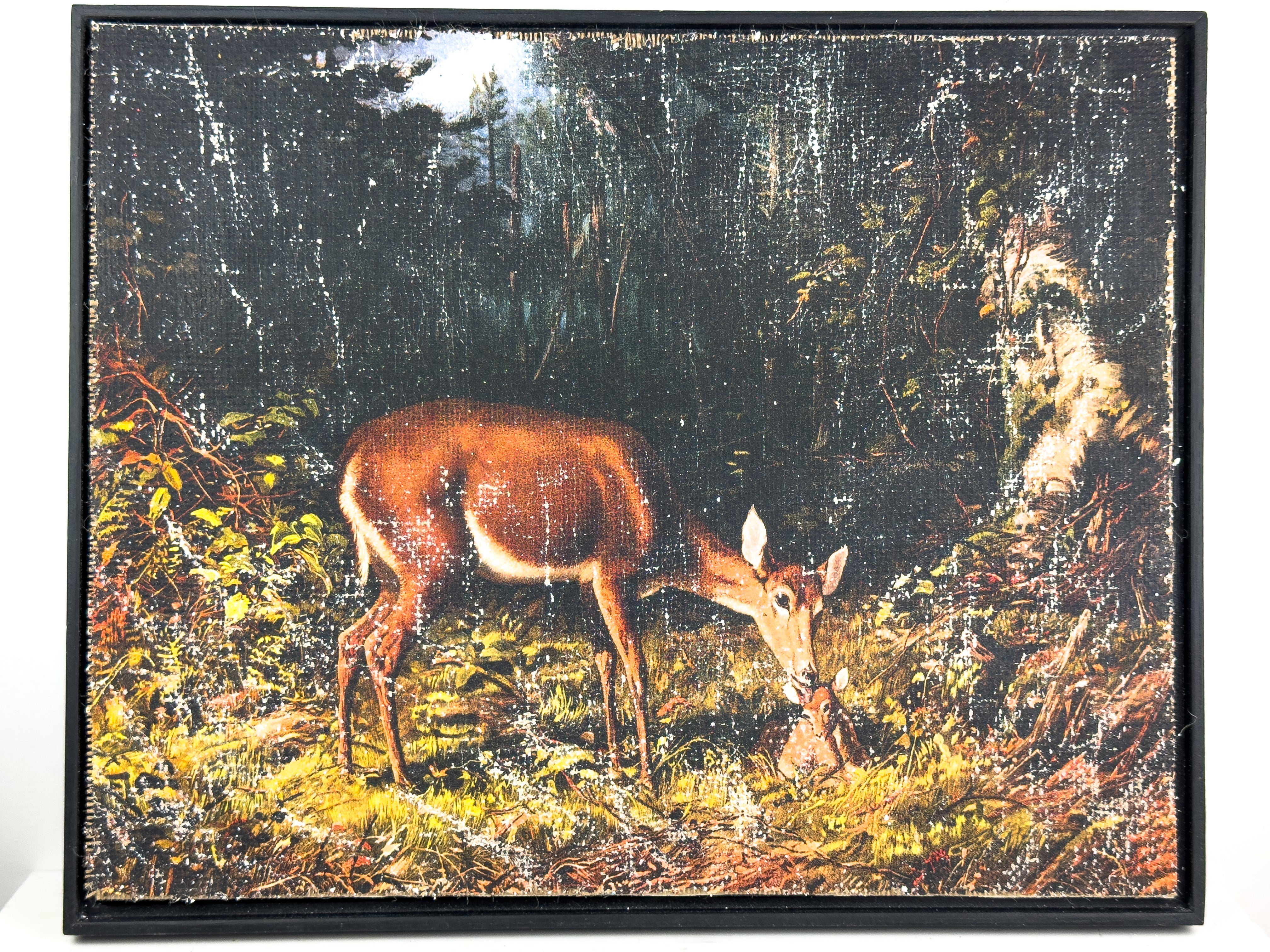 Mother and Fawn in Forest