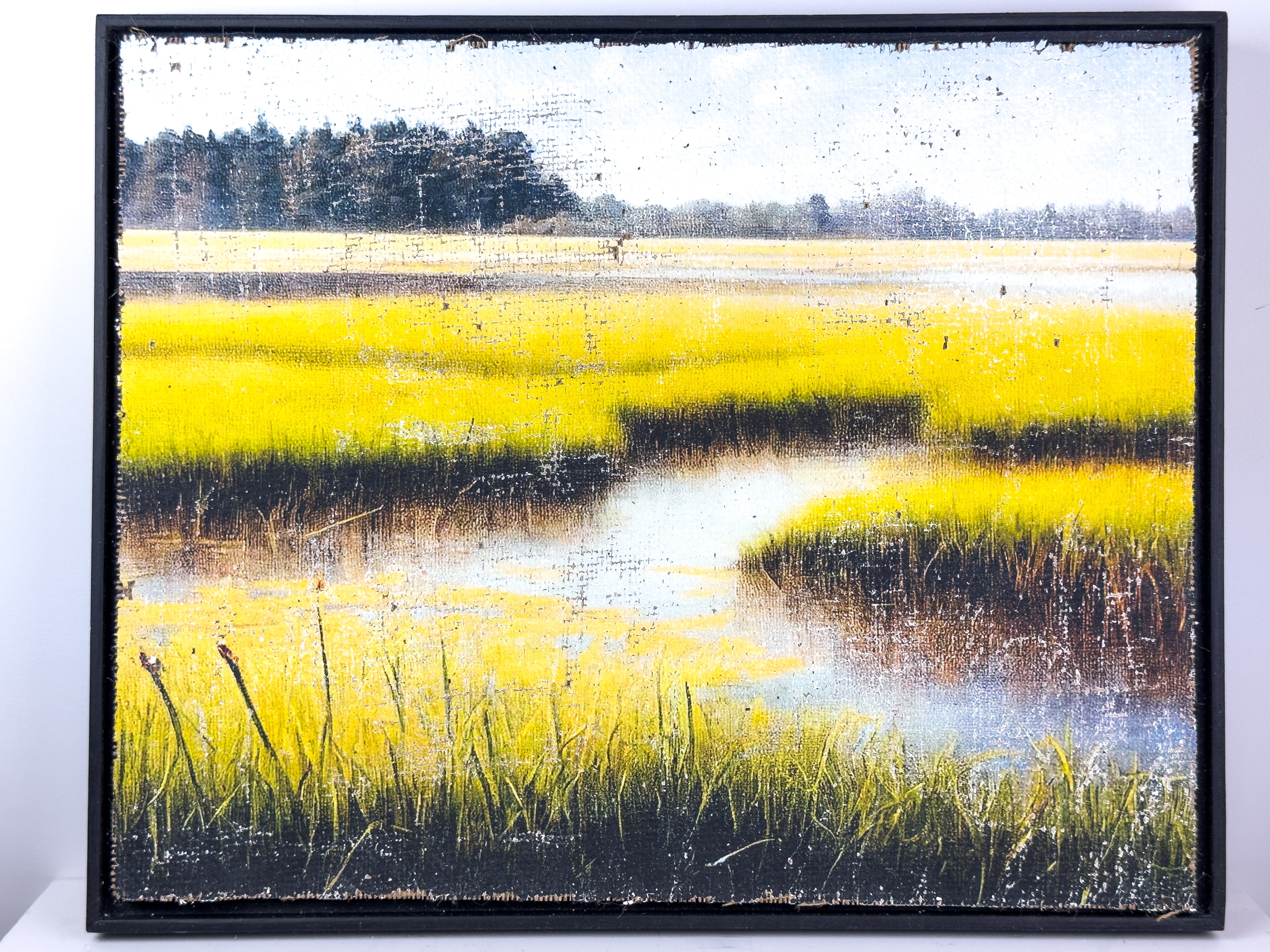 The Magic of the Marsh