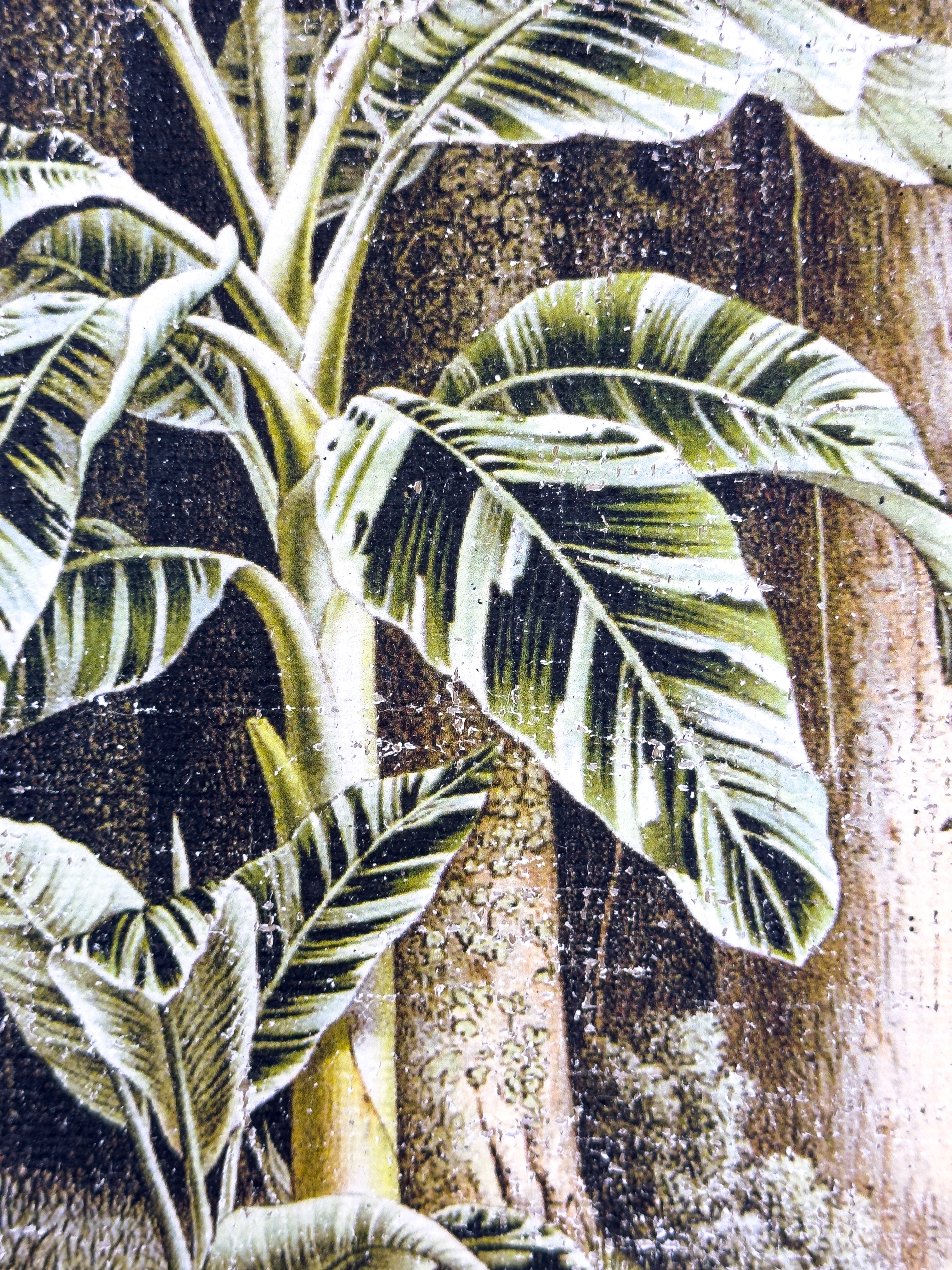 In the Shade of Green