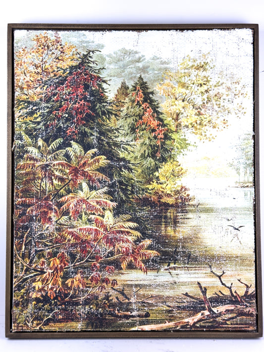 Vintage Fall Color - Changing Seasons