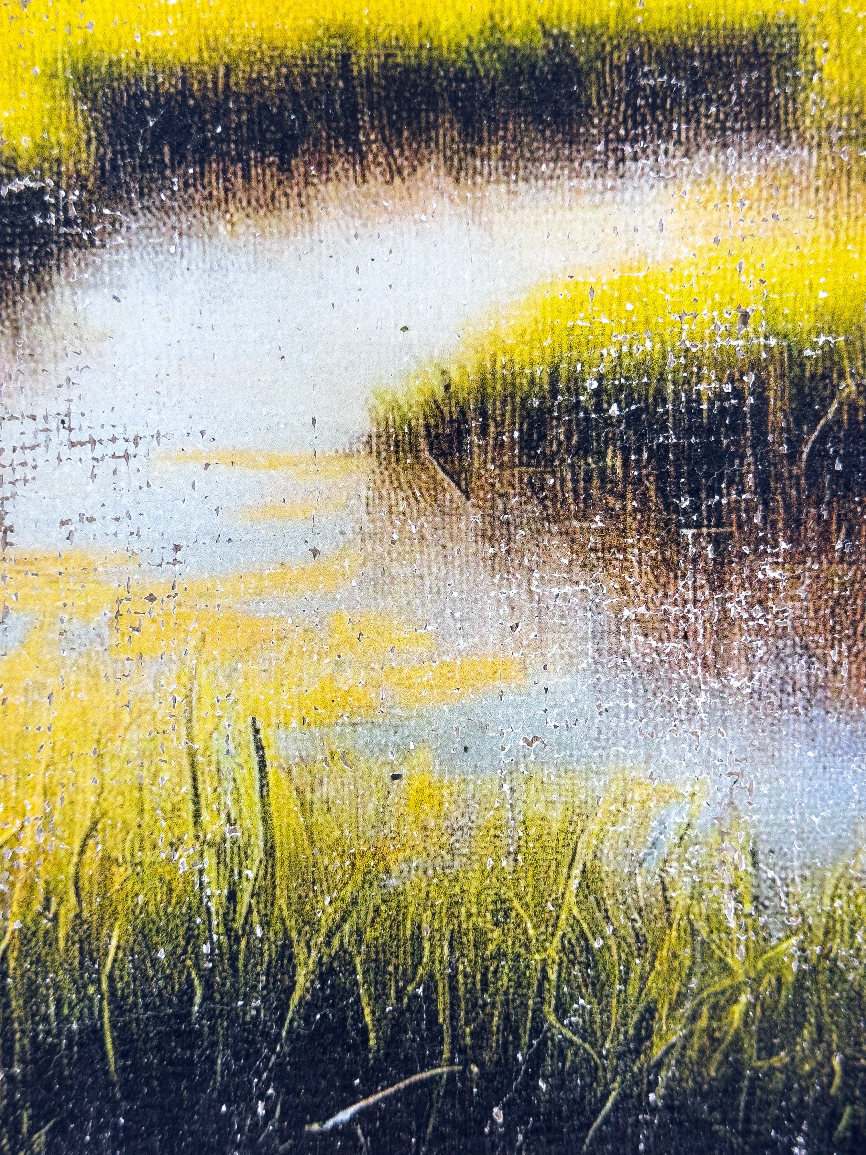 The Magic of the Marsh