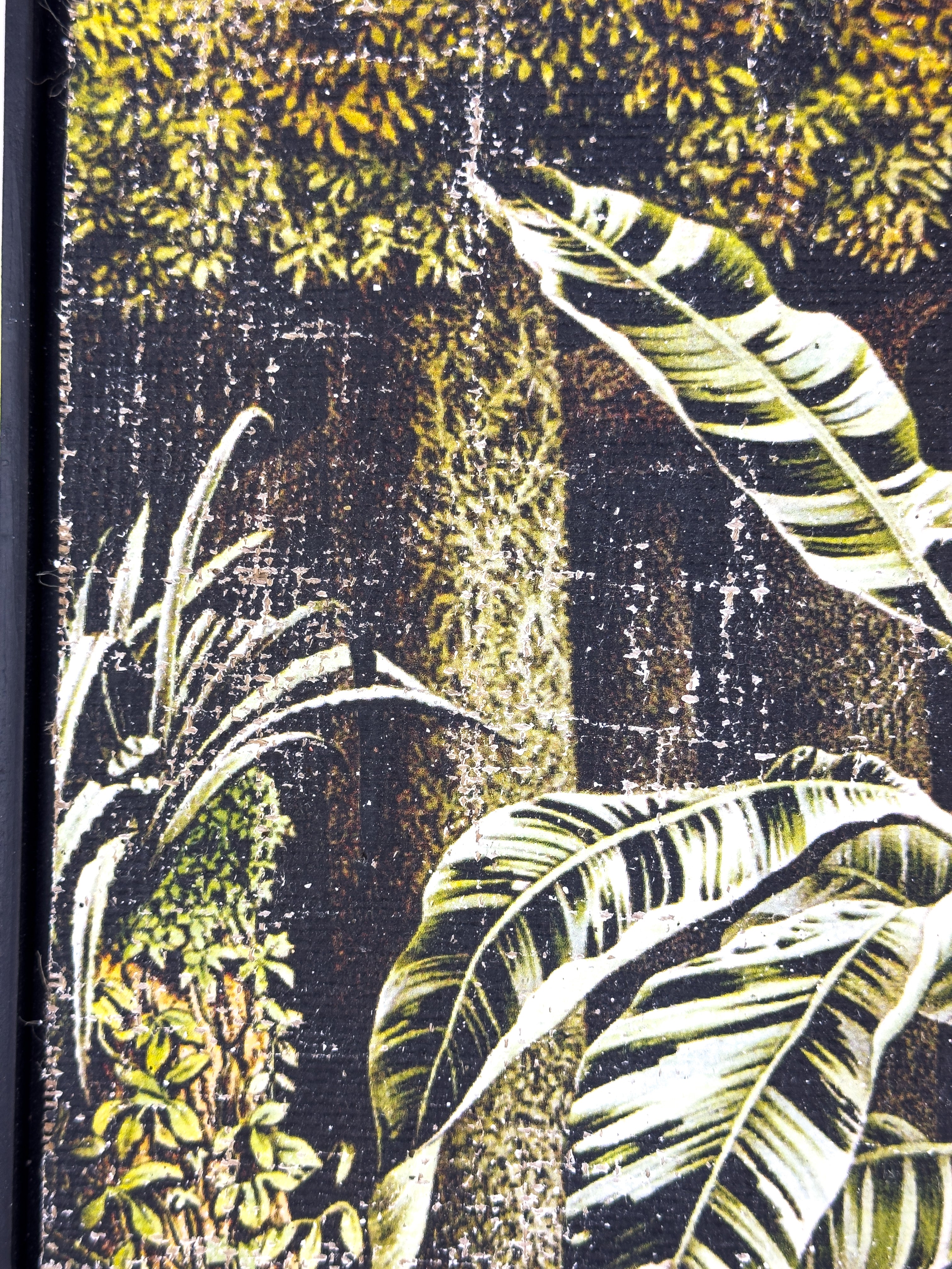 In the Shade of Green