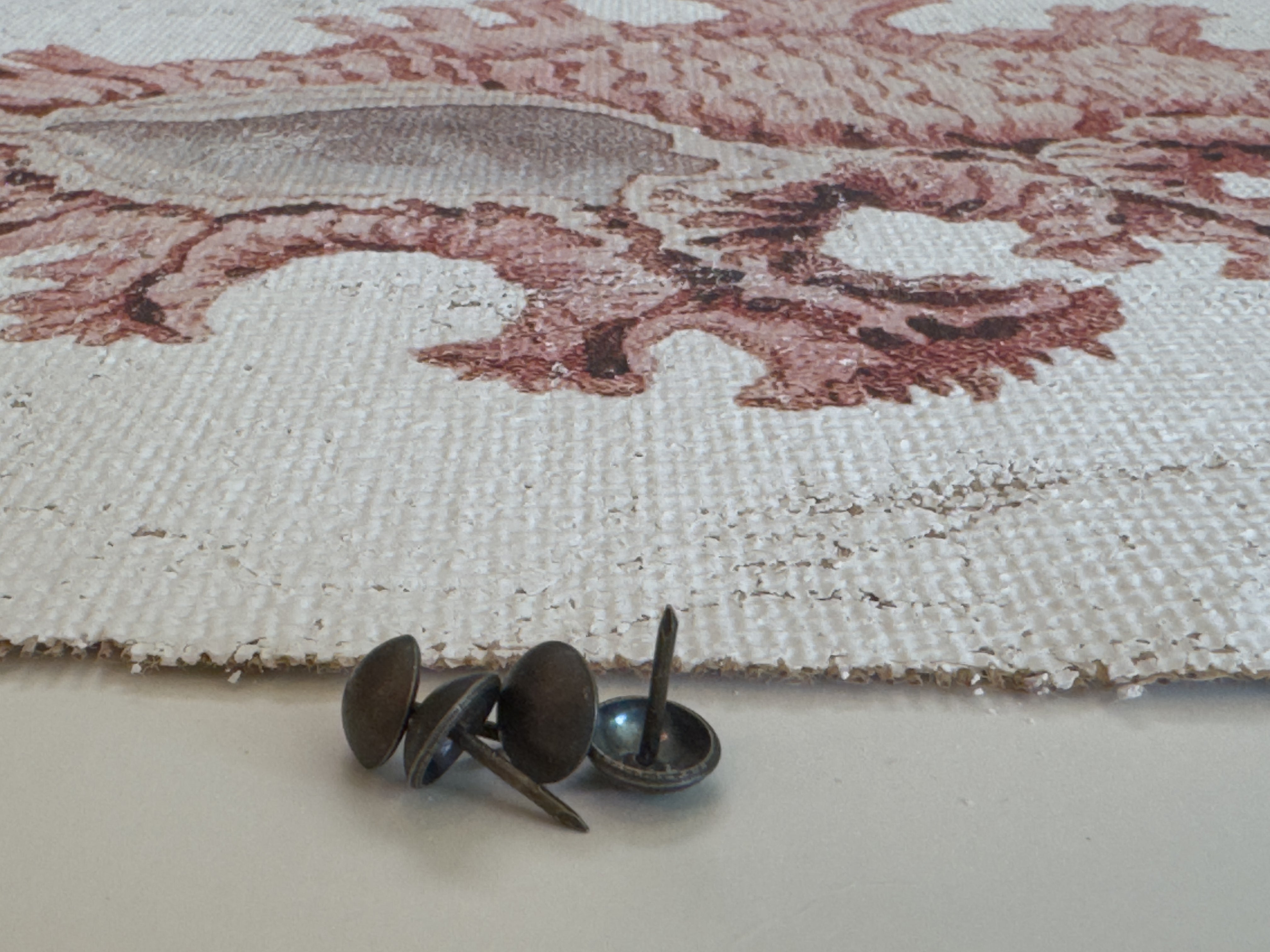 Pink Seashell - Lace Murex