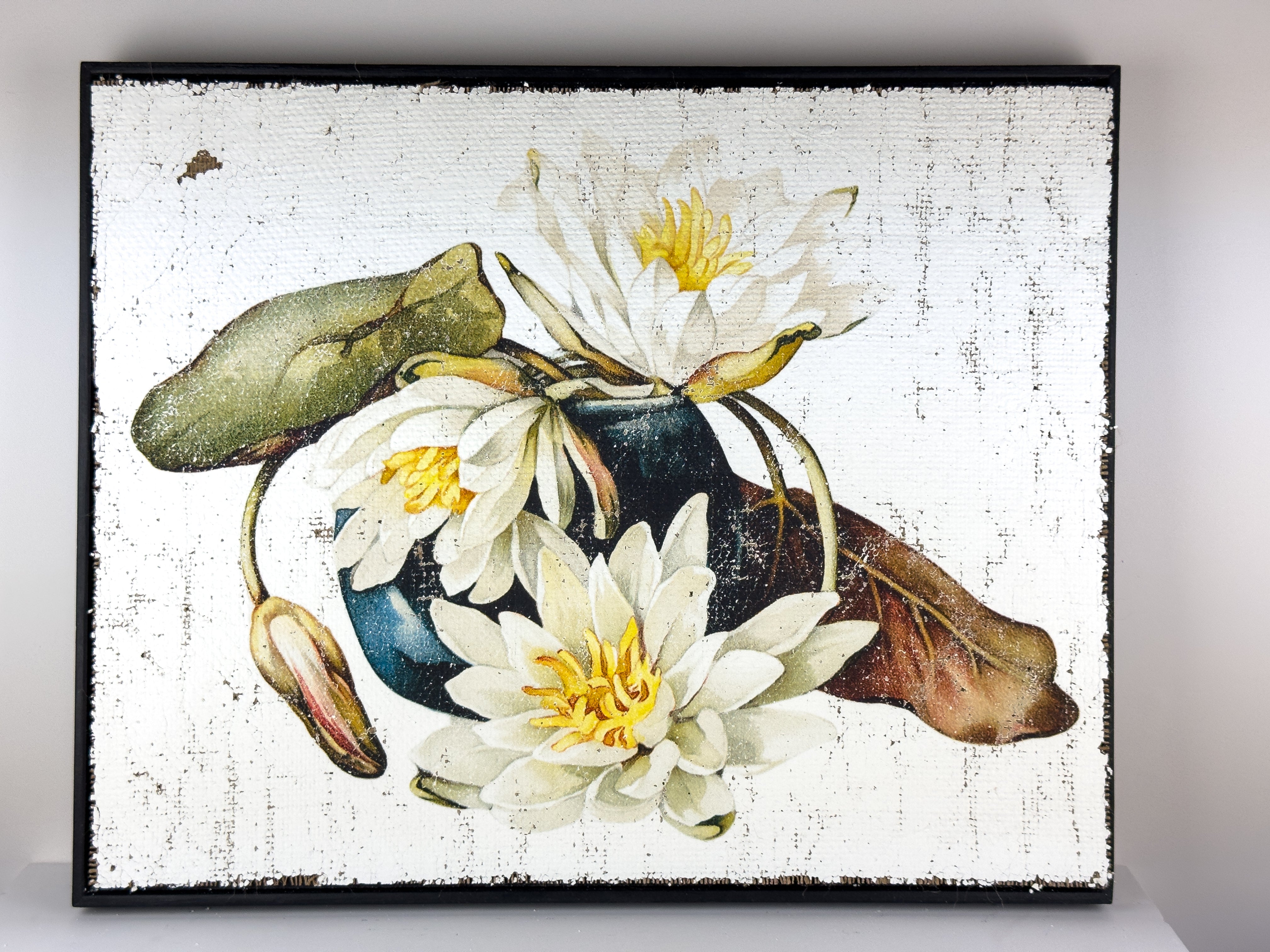 white lily wall art American White Water-Lily