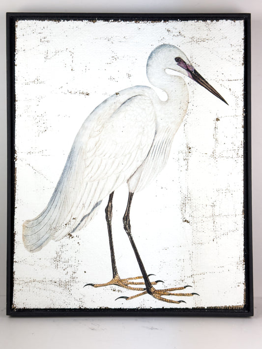 White Egret