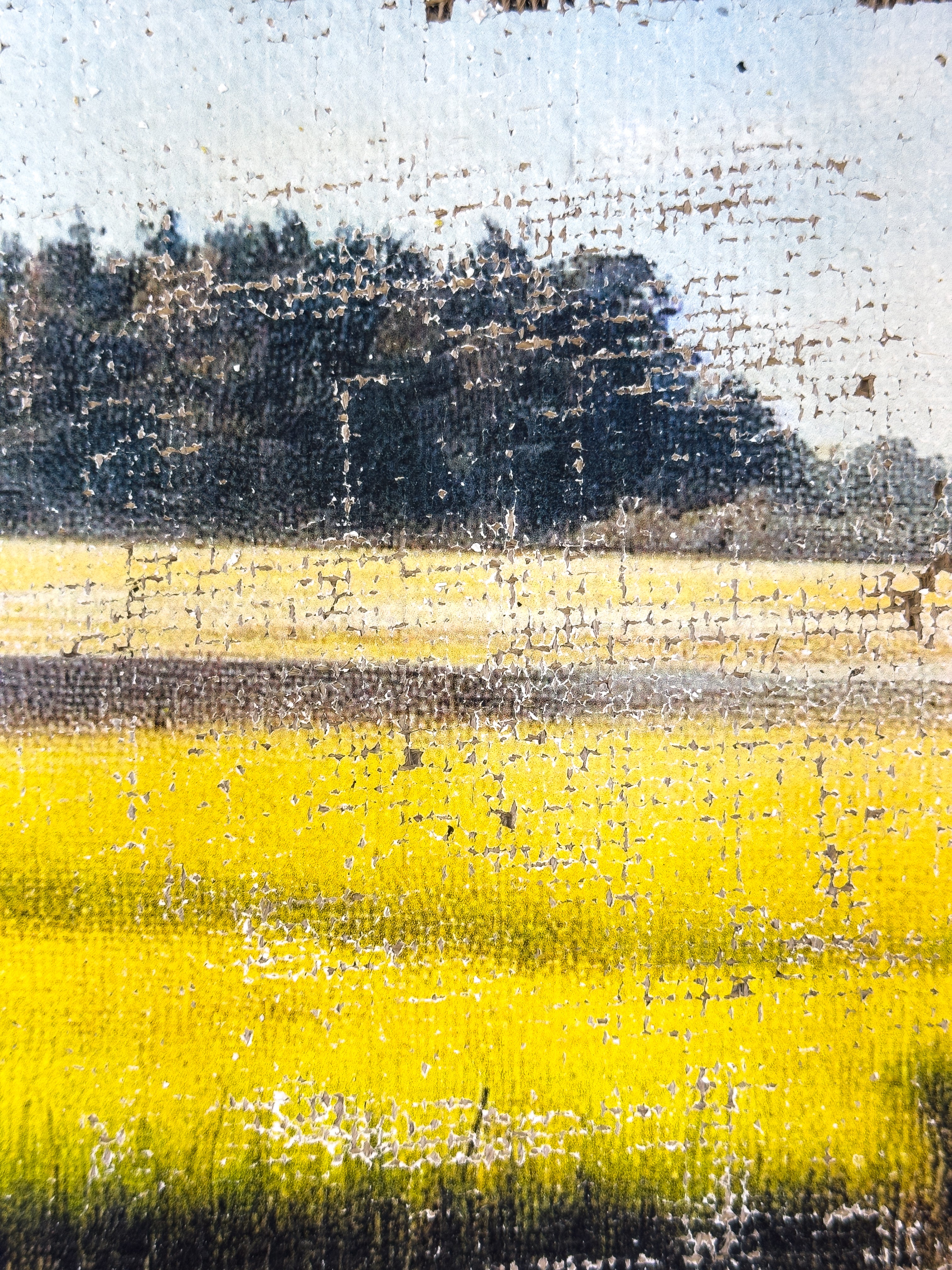 The Magic of the Marsh