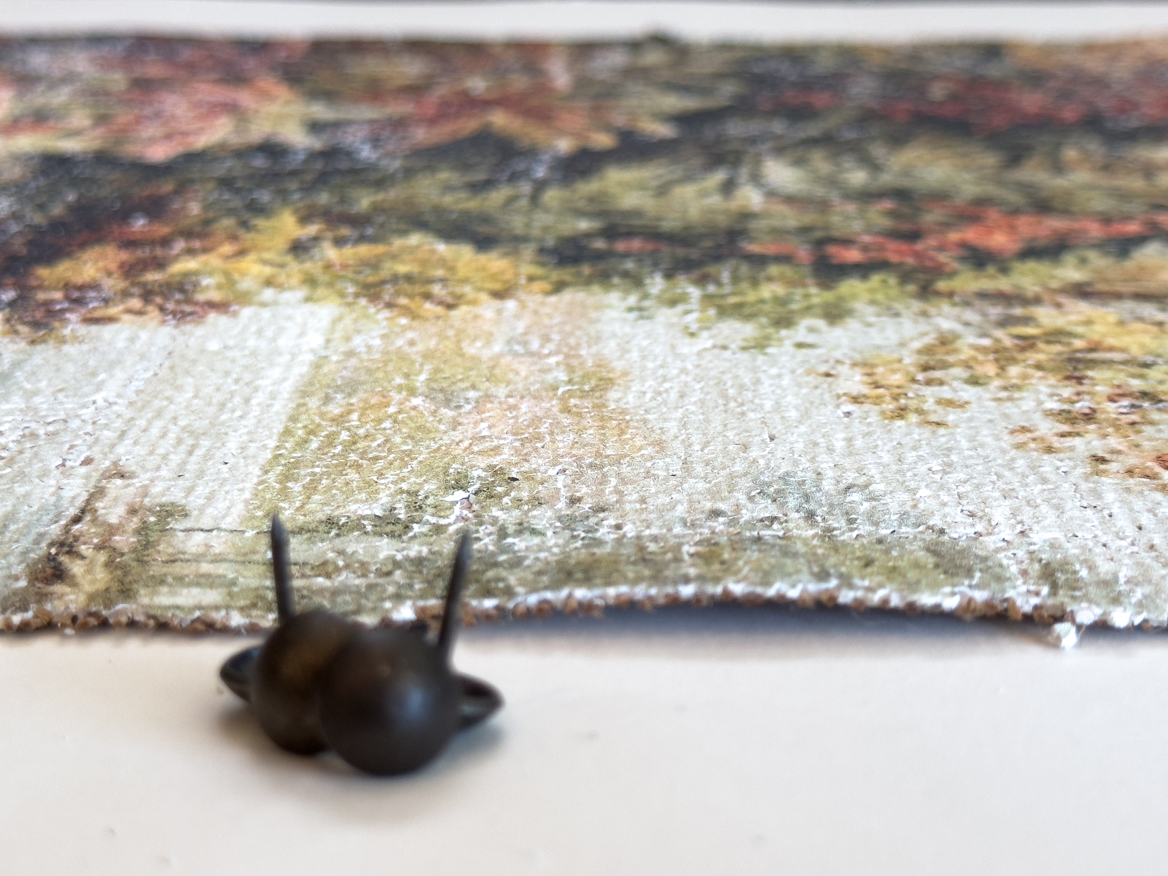 Vintage Fall Color - Changing Seasons