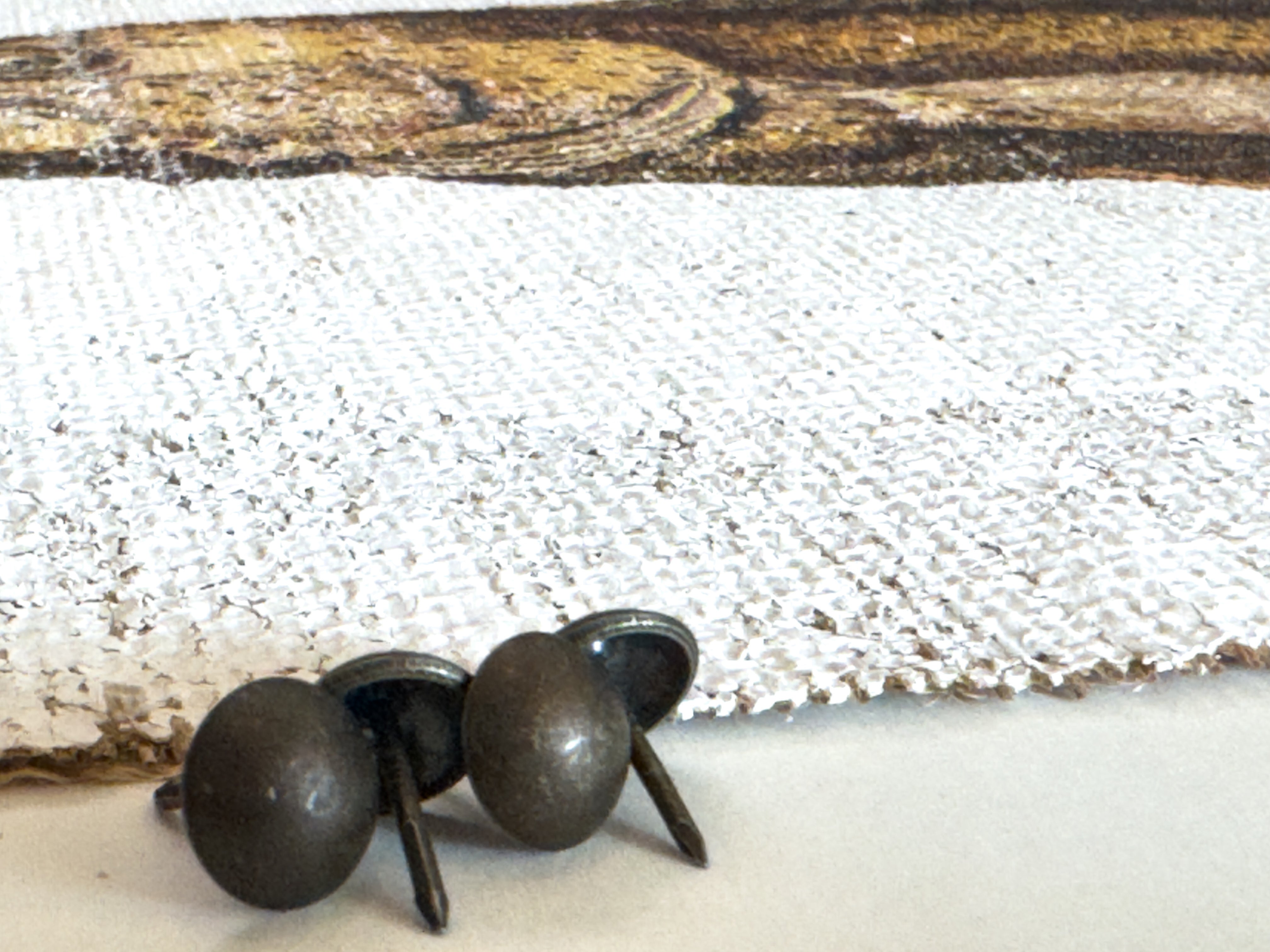 Brown Spotted Grouper