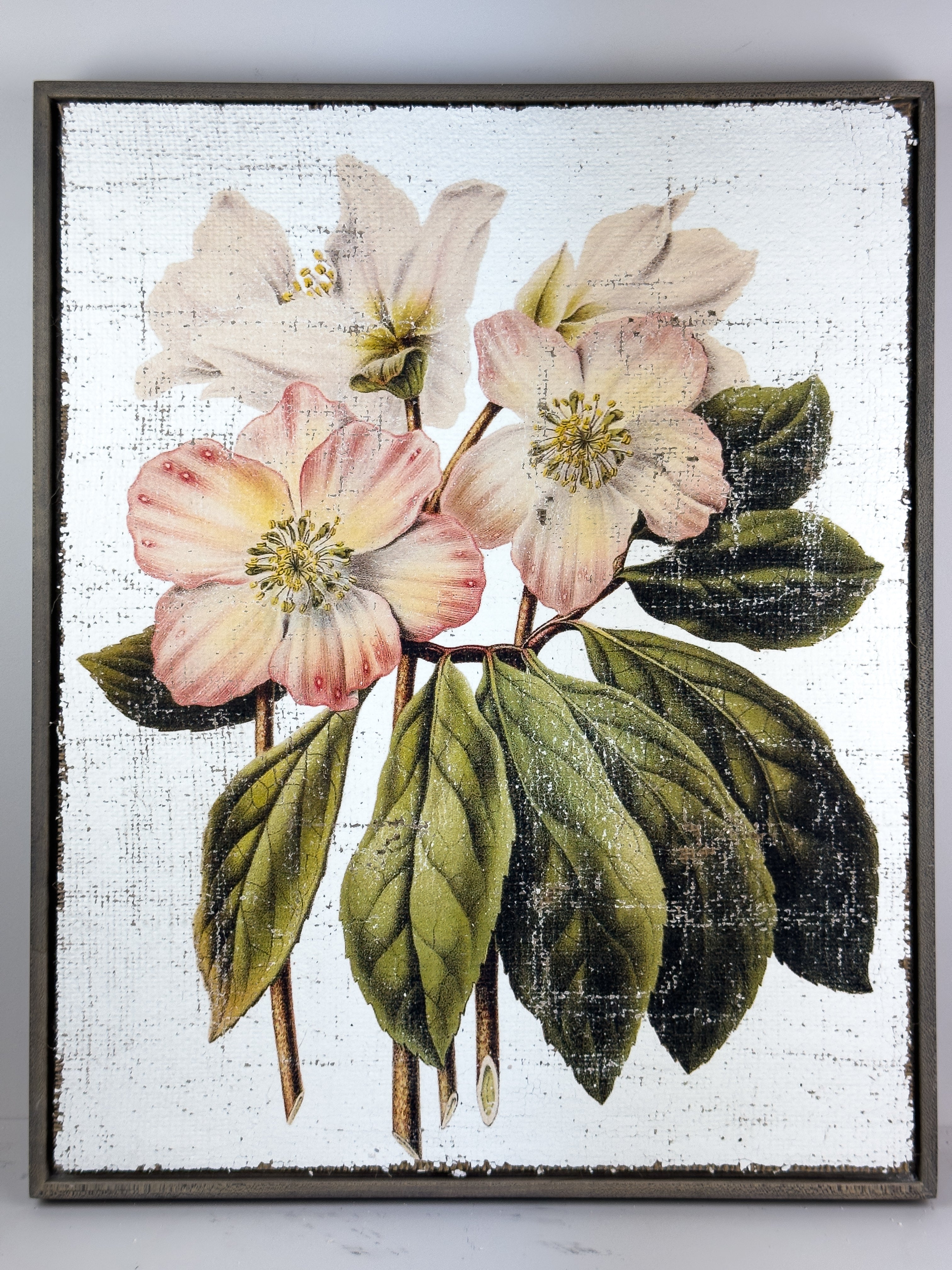 Pink and Cream Flowers - Winter's Jewel