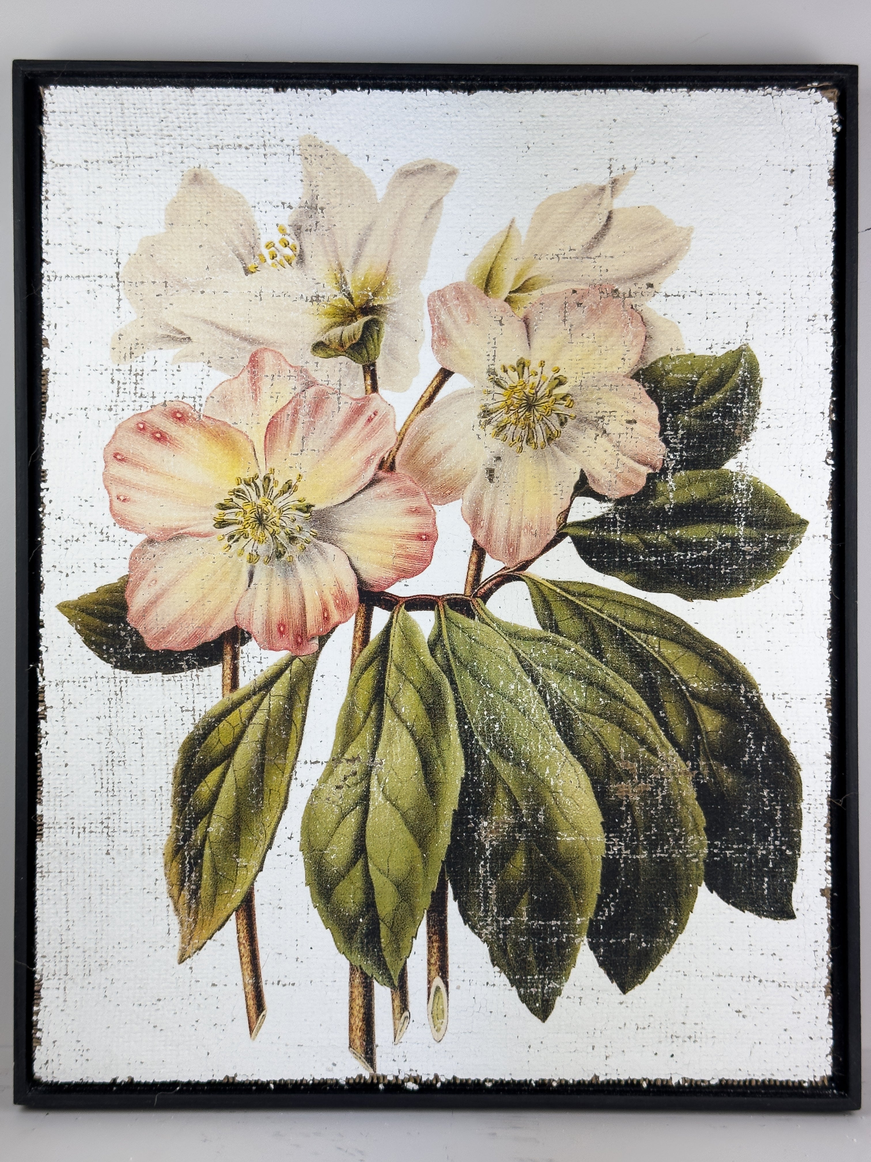 Pink and Cream Flowers - Winter's Jewel