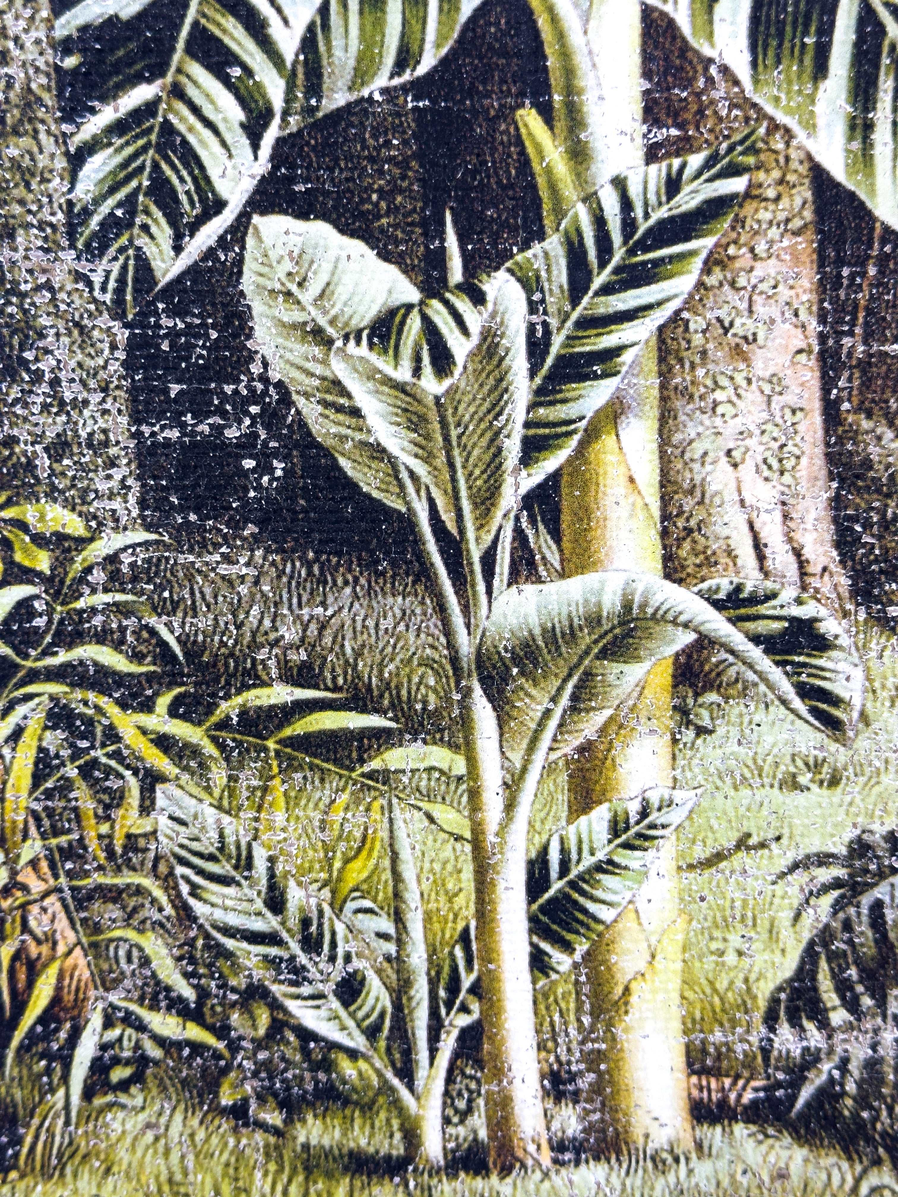 In the Shade of Green