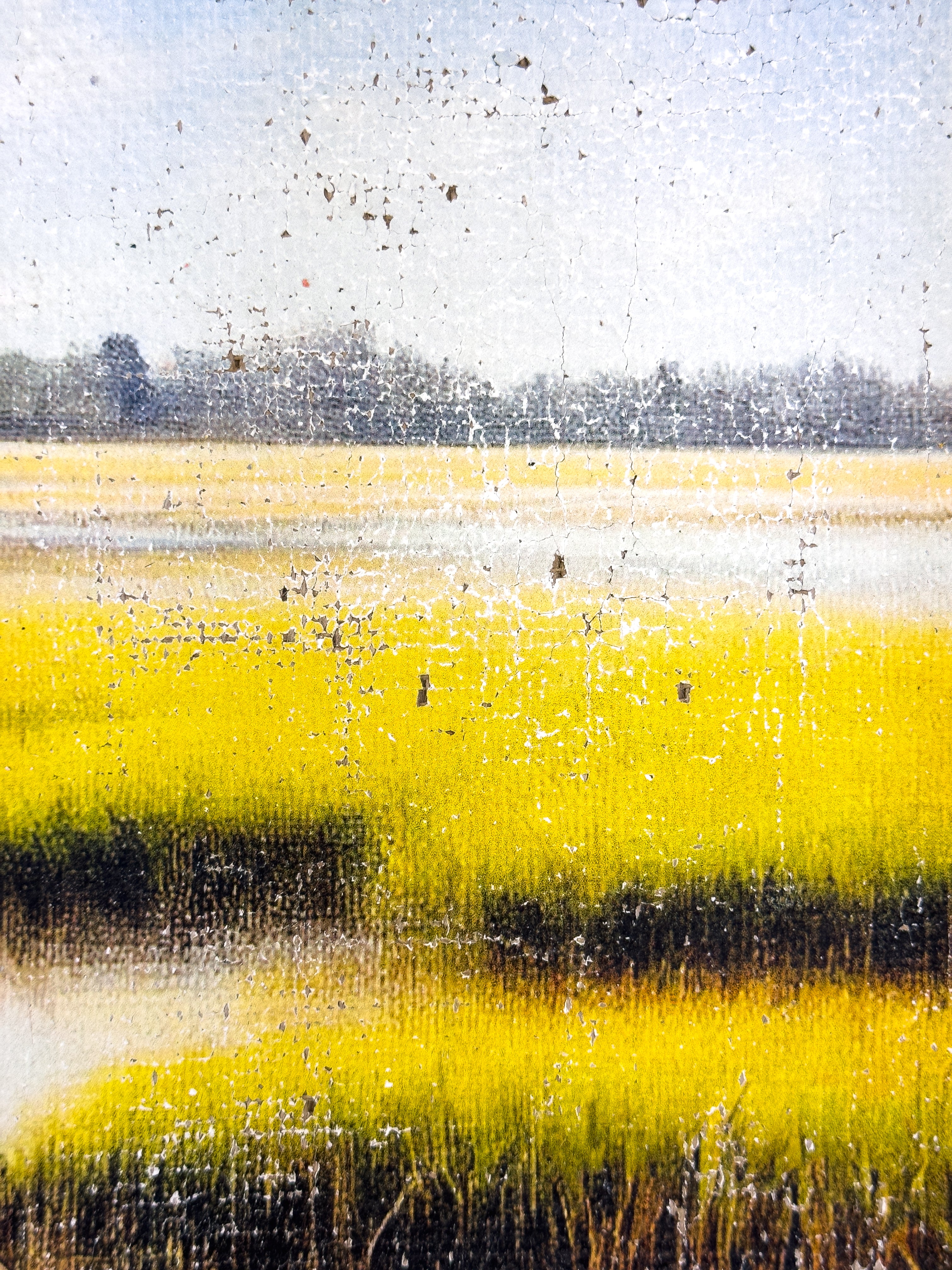 The Magic of the Marsh