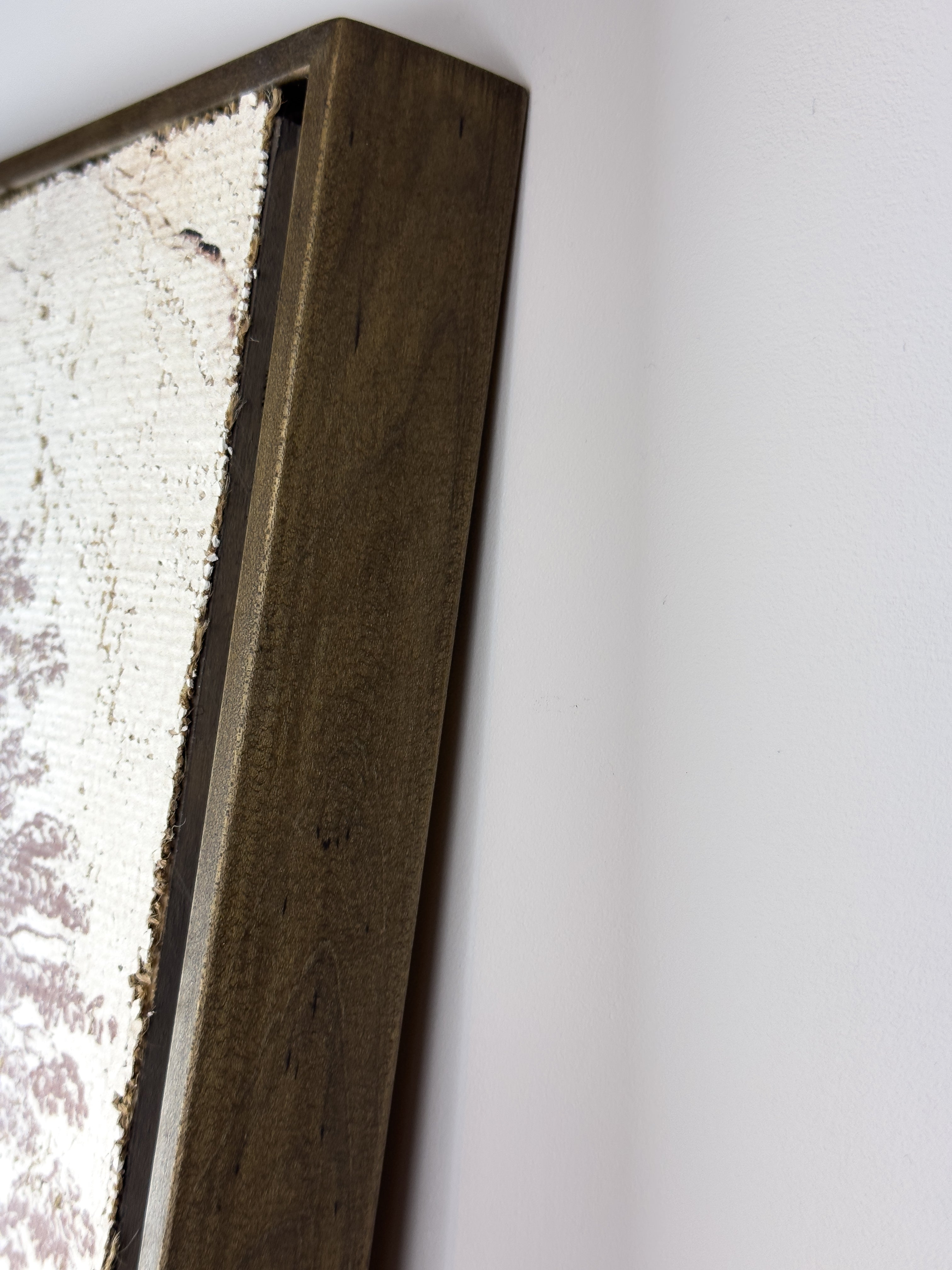 Vintage Ash Tree - Beneath the Ash