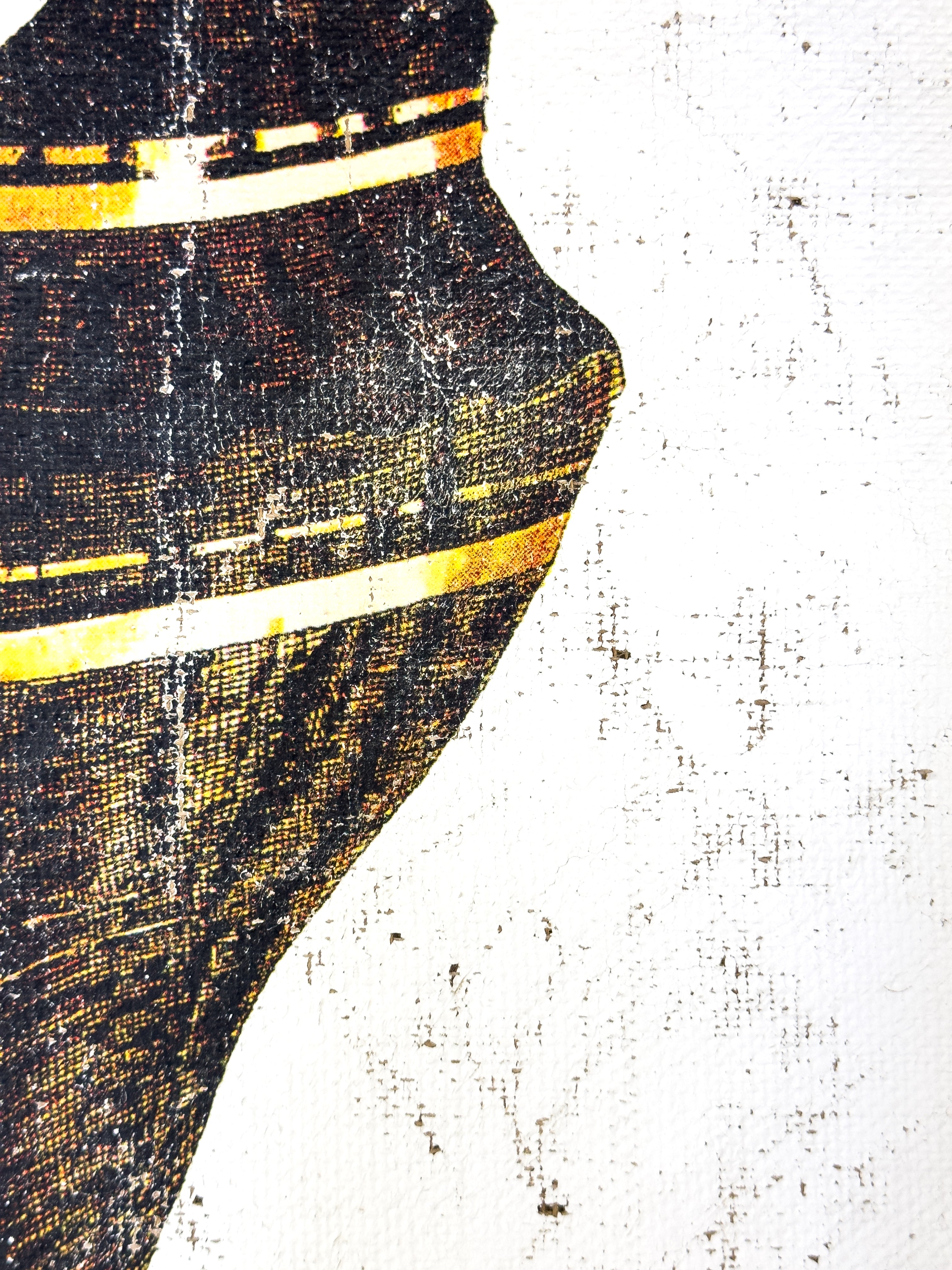 Black and Gold Cone Shell