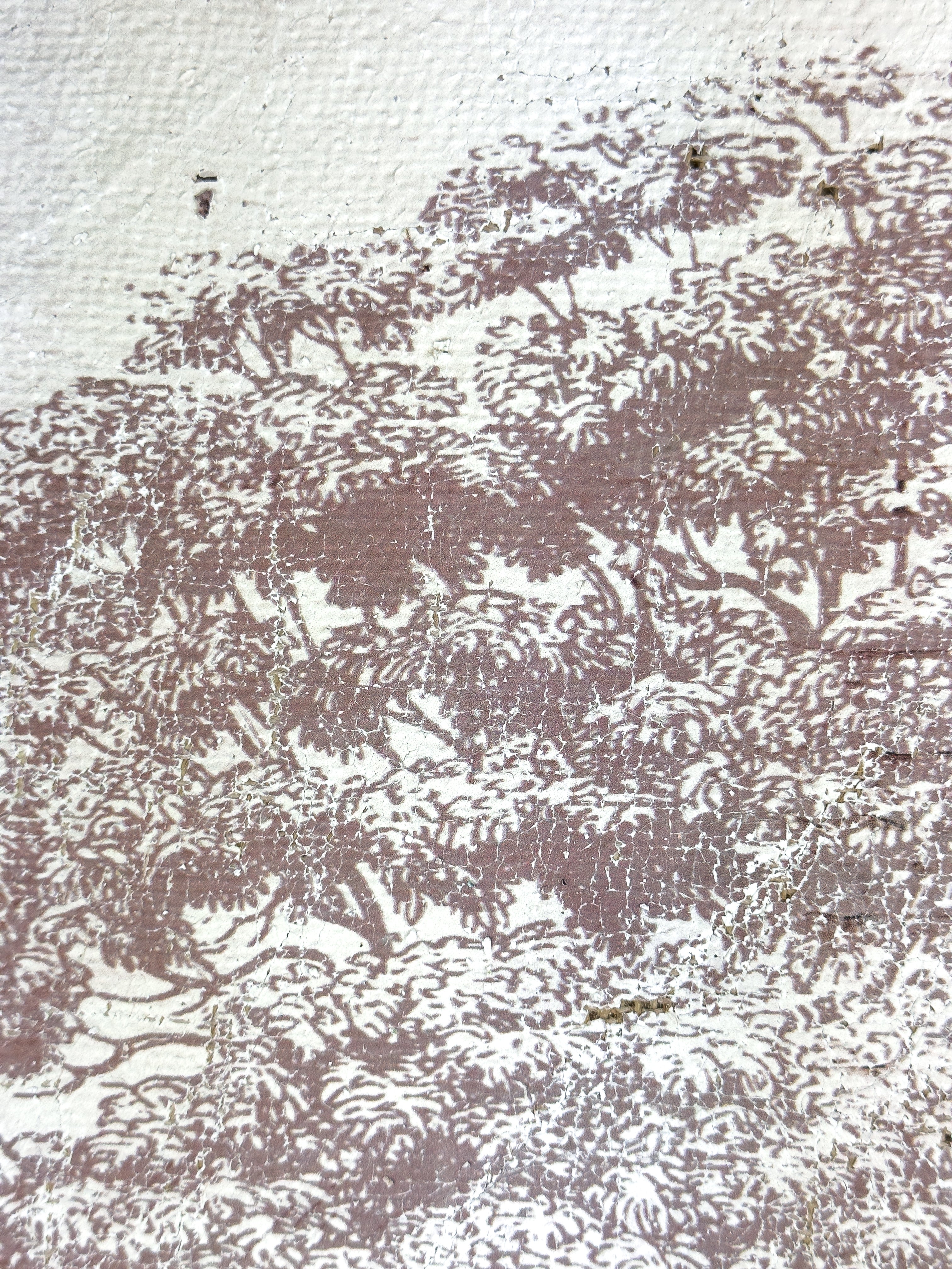 Vintage Ash Tree - Beneath the Ash