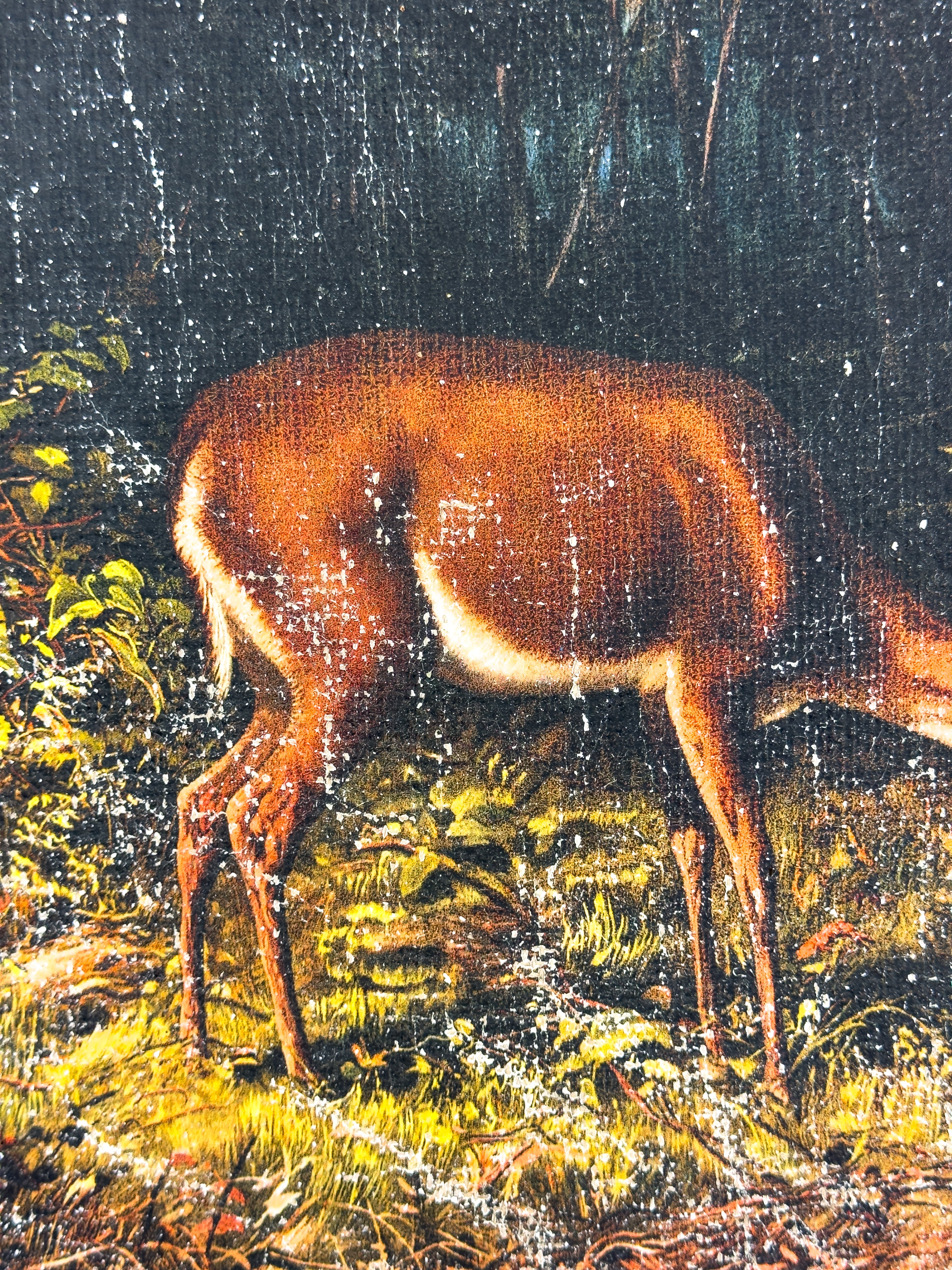 Mother and Fawn in Forest