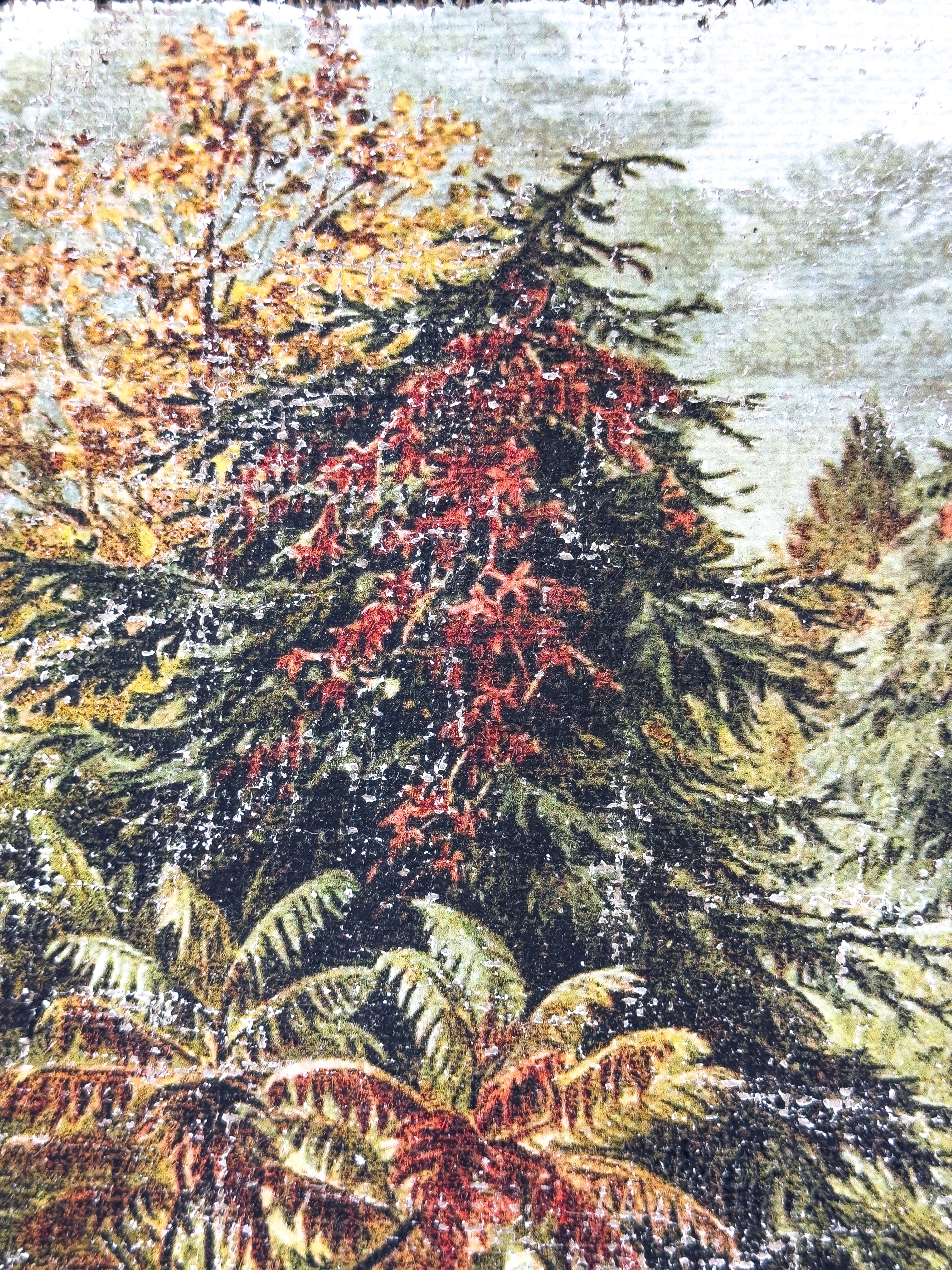 Vintage Fall Color - Changing Seasons