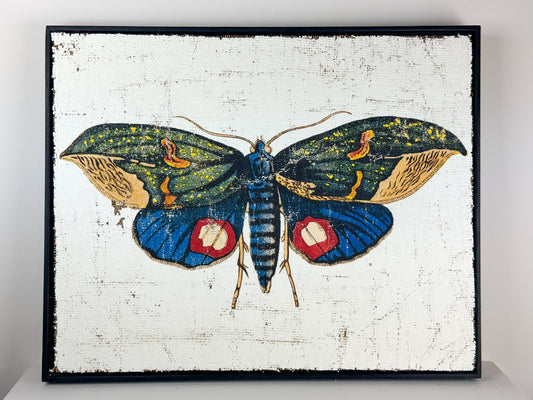 Owlet Moth - Hope Takes Flight