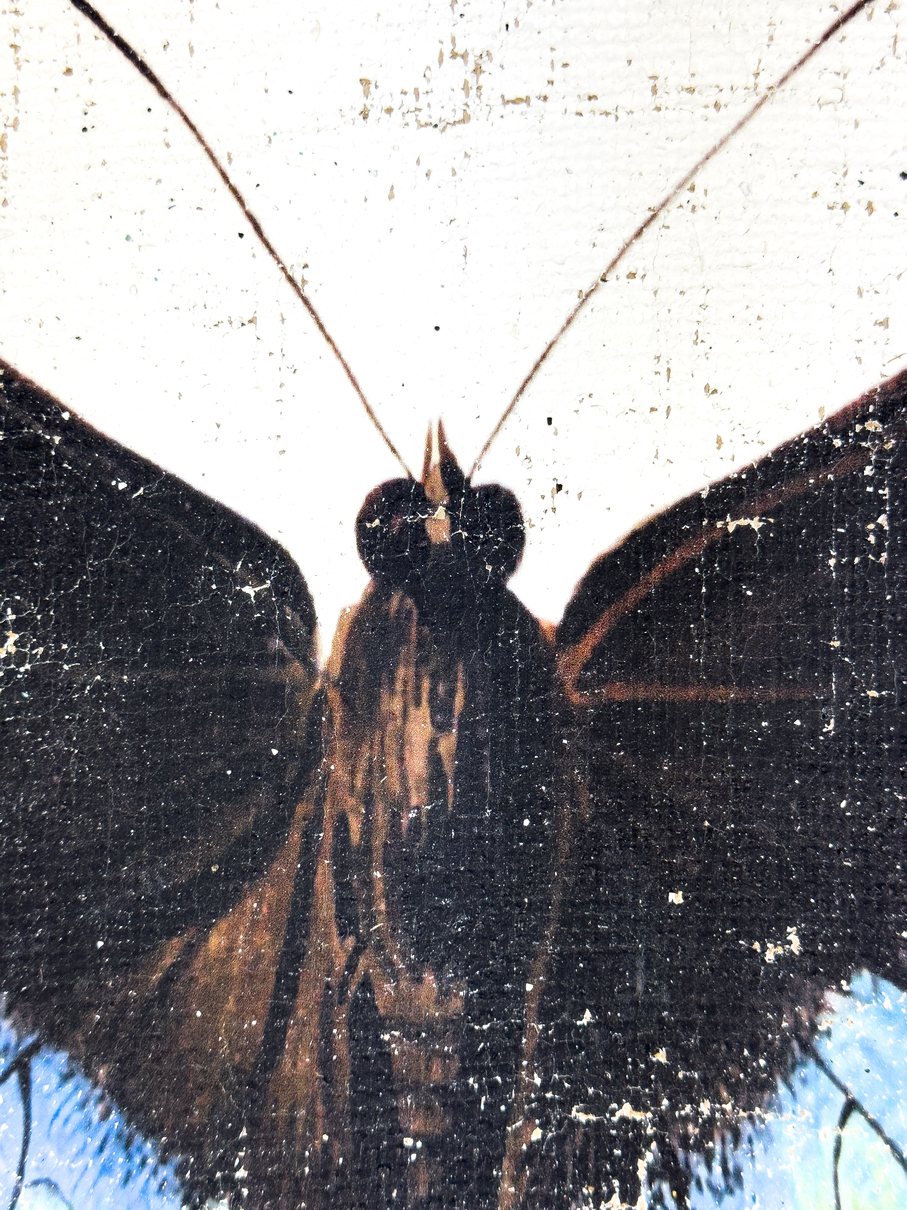 Blue Green Butterfly