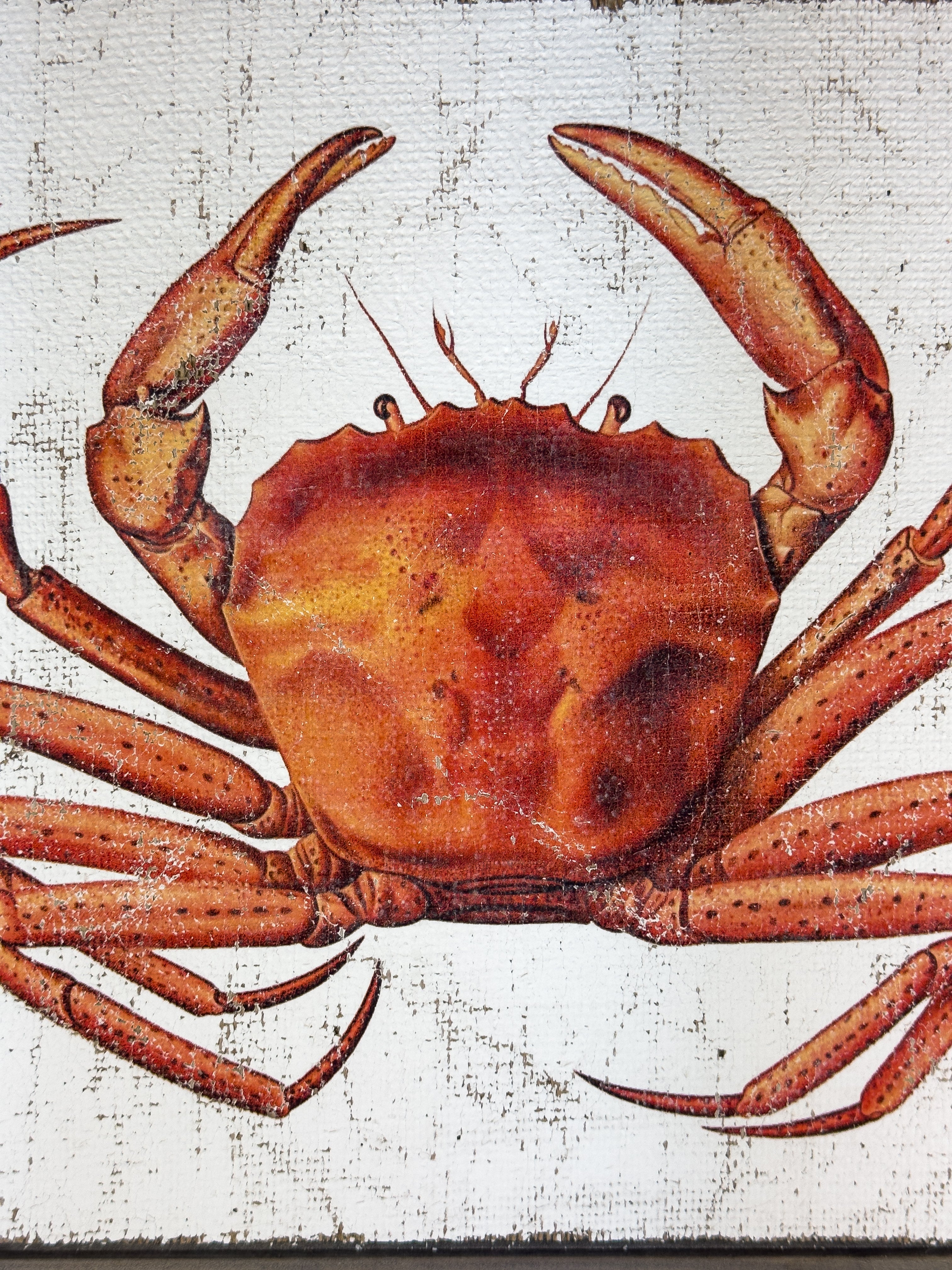 Red Crab
