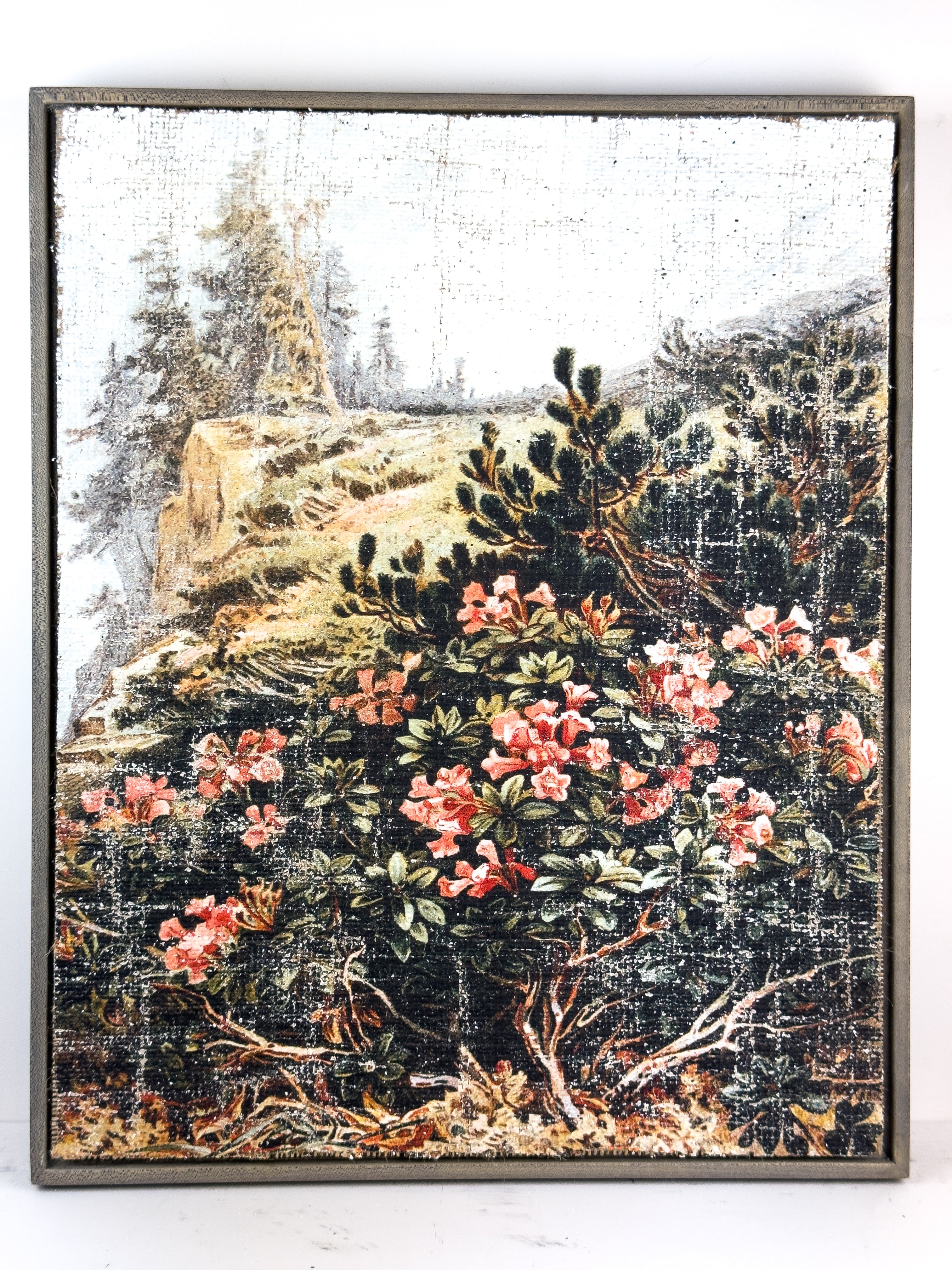 Pink Flowers on a Cliffside