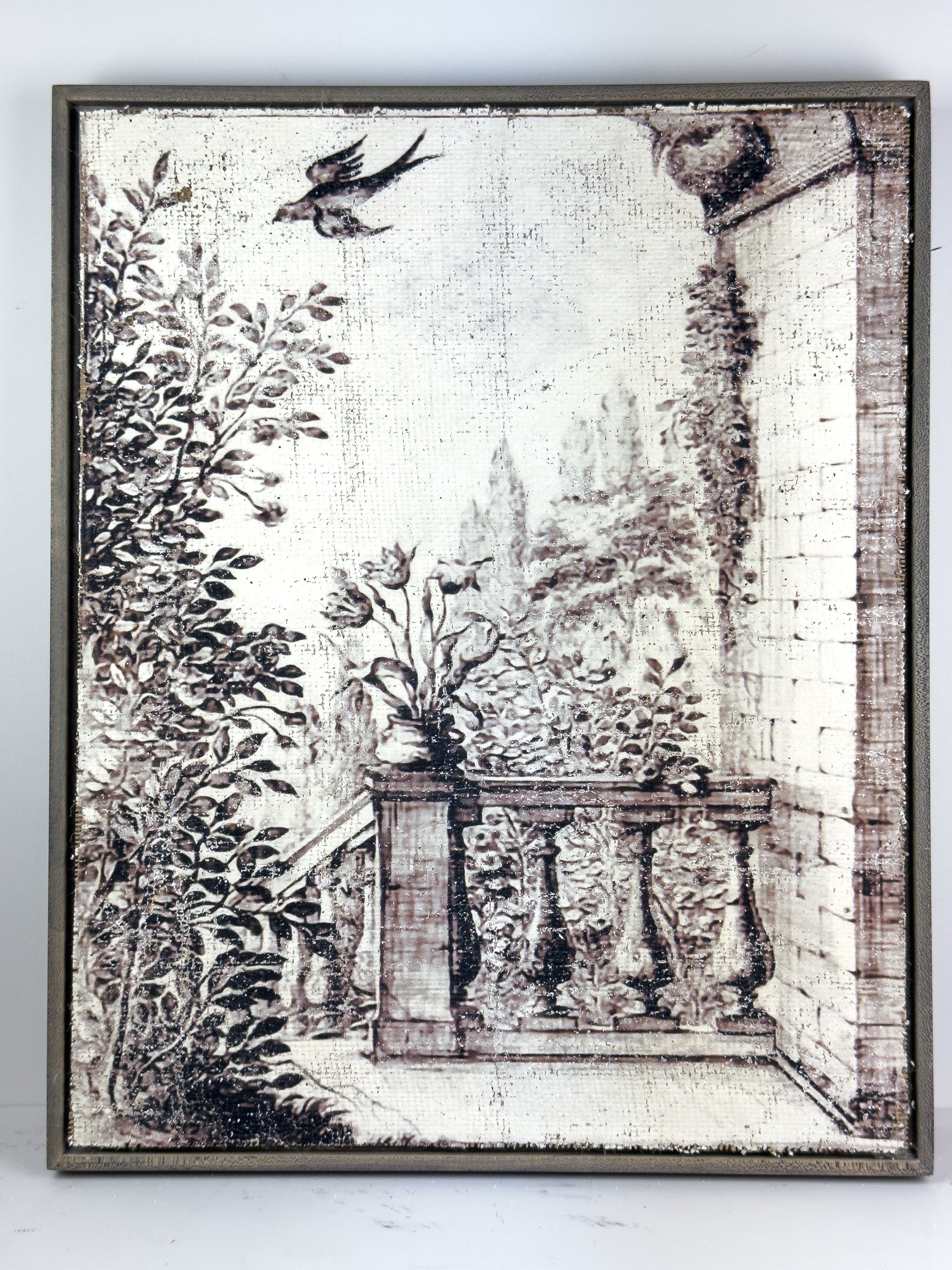 Black and white bird - Balustrade Dreams