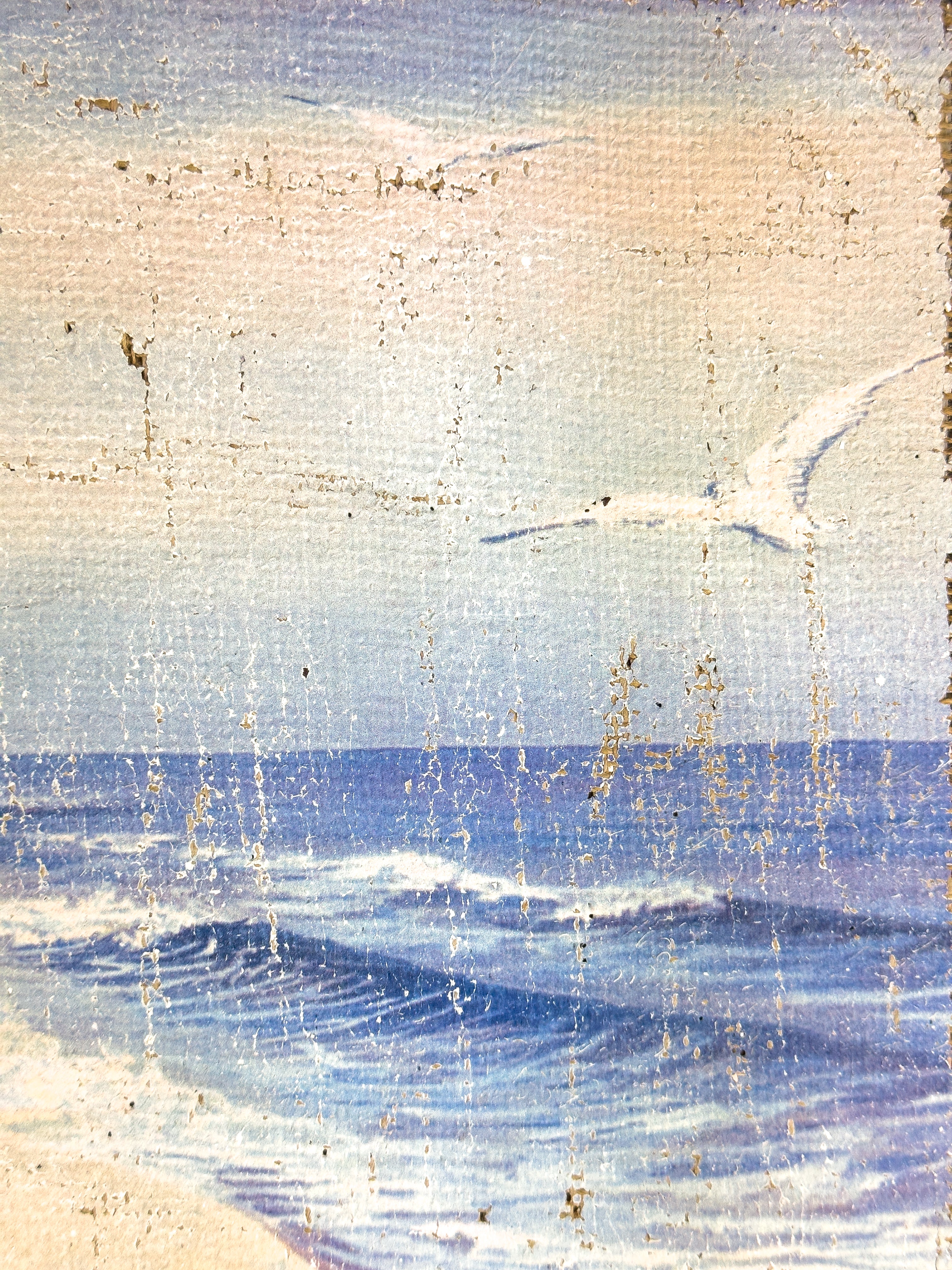 Coastal Beach Day - Where the Gulls Lead