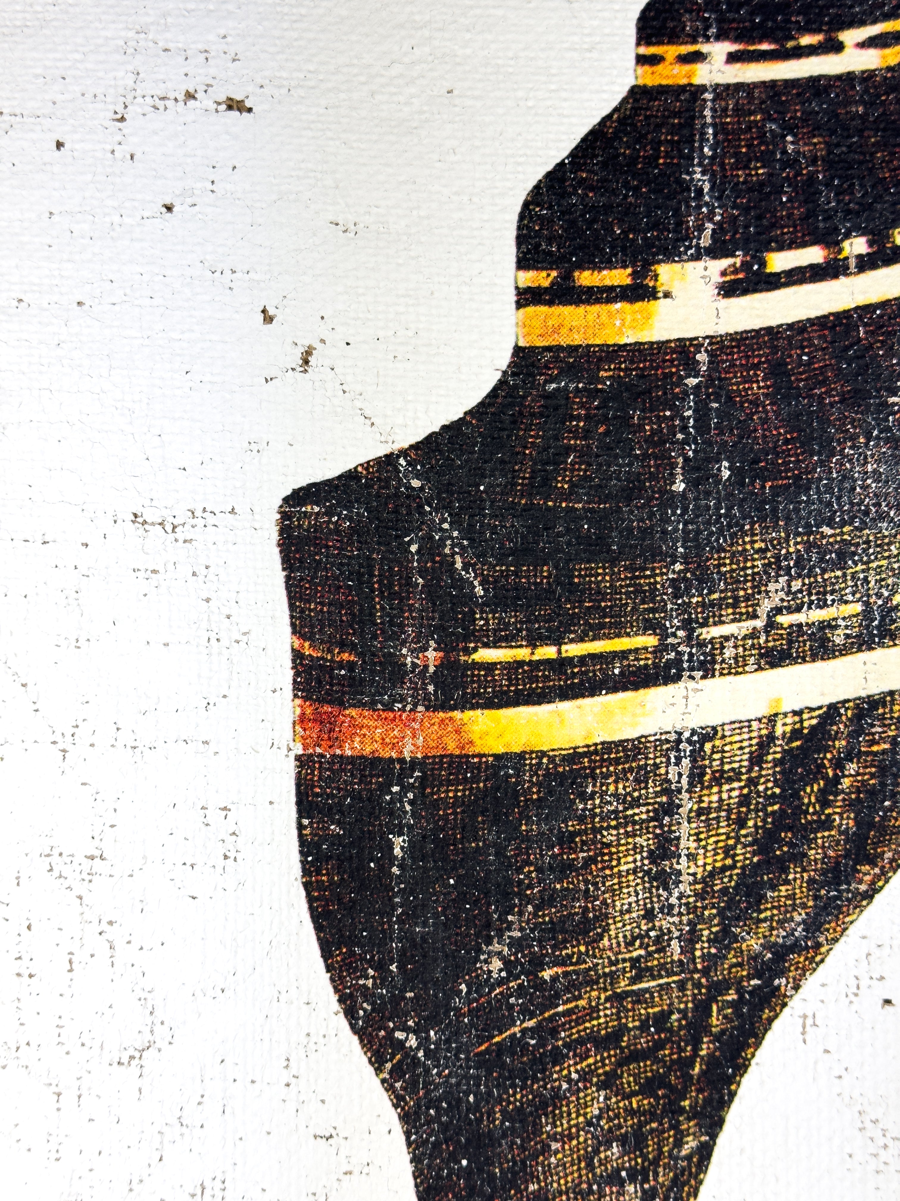 Black and Gold Cone Shell