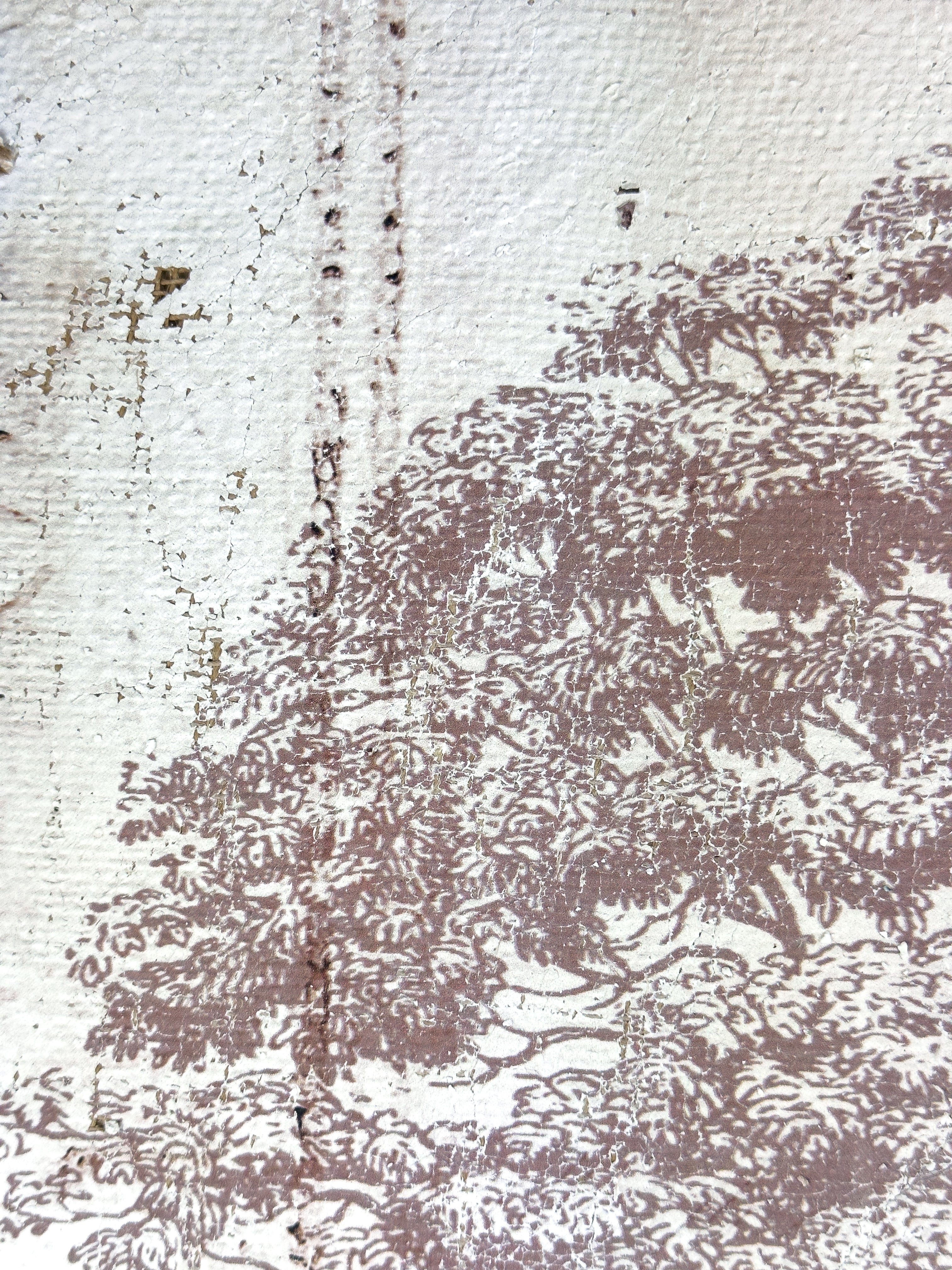 Vintage Ash Tree - Beneath the Ash