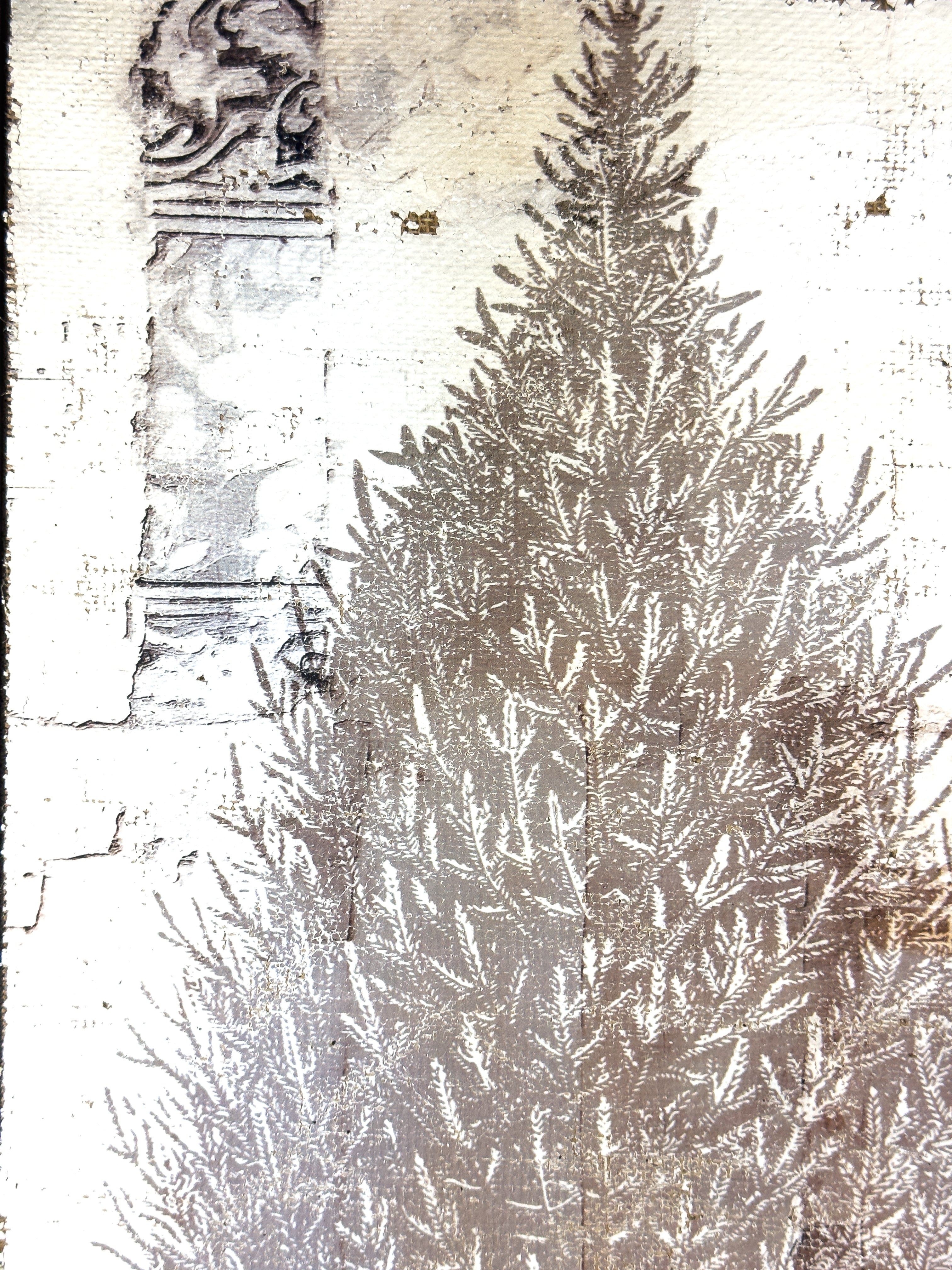 Fir Tree