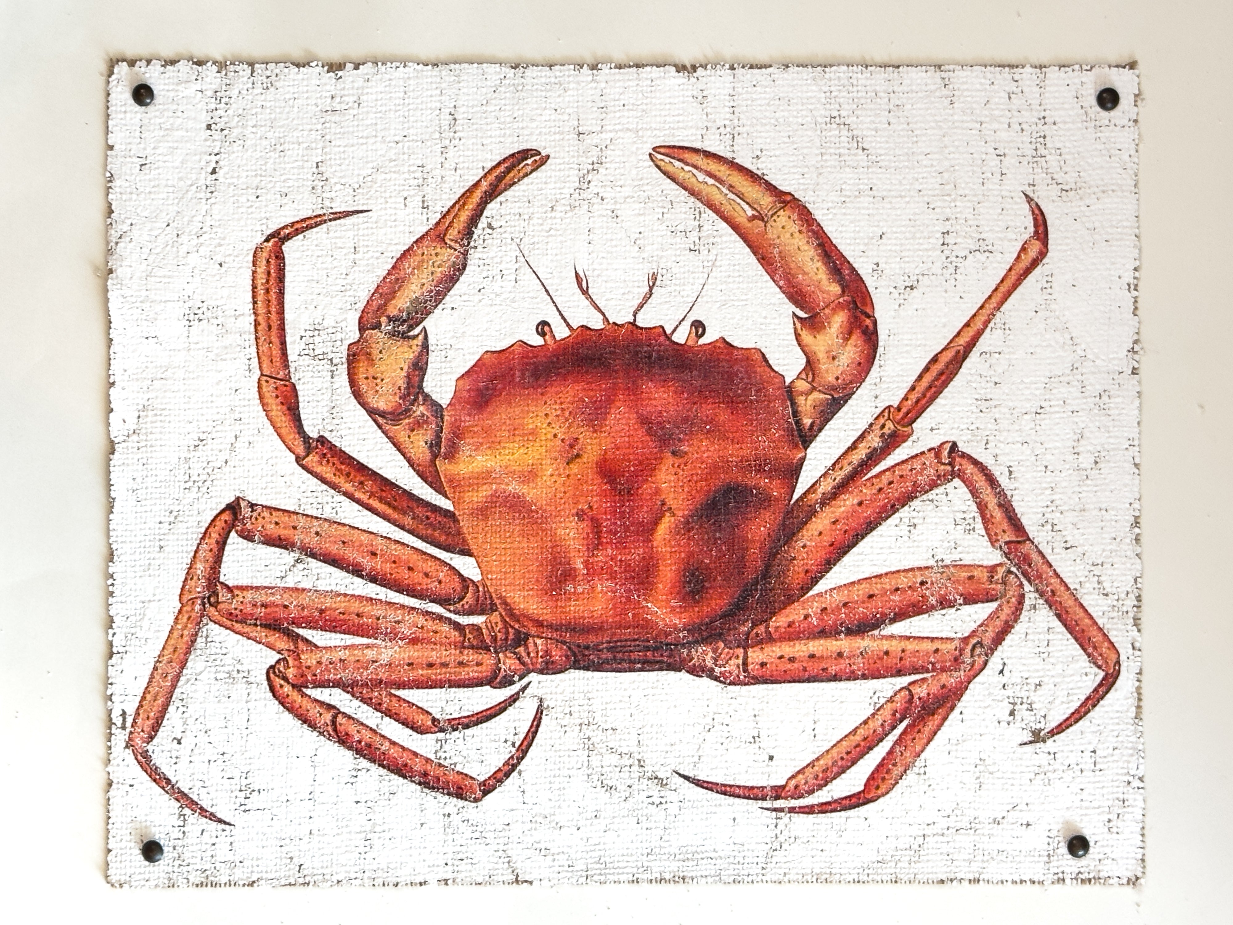 Red Crab