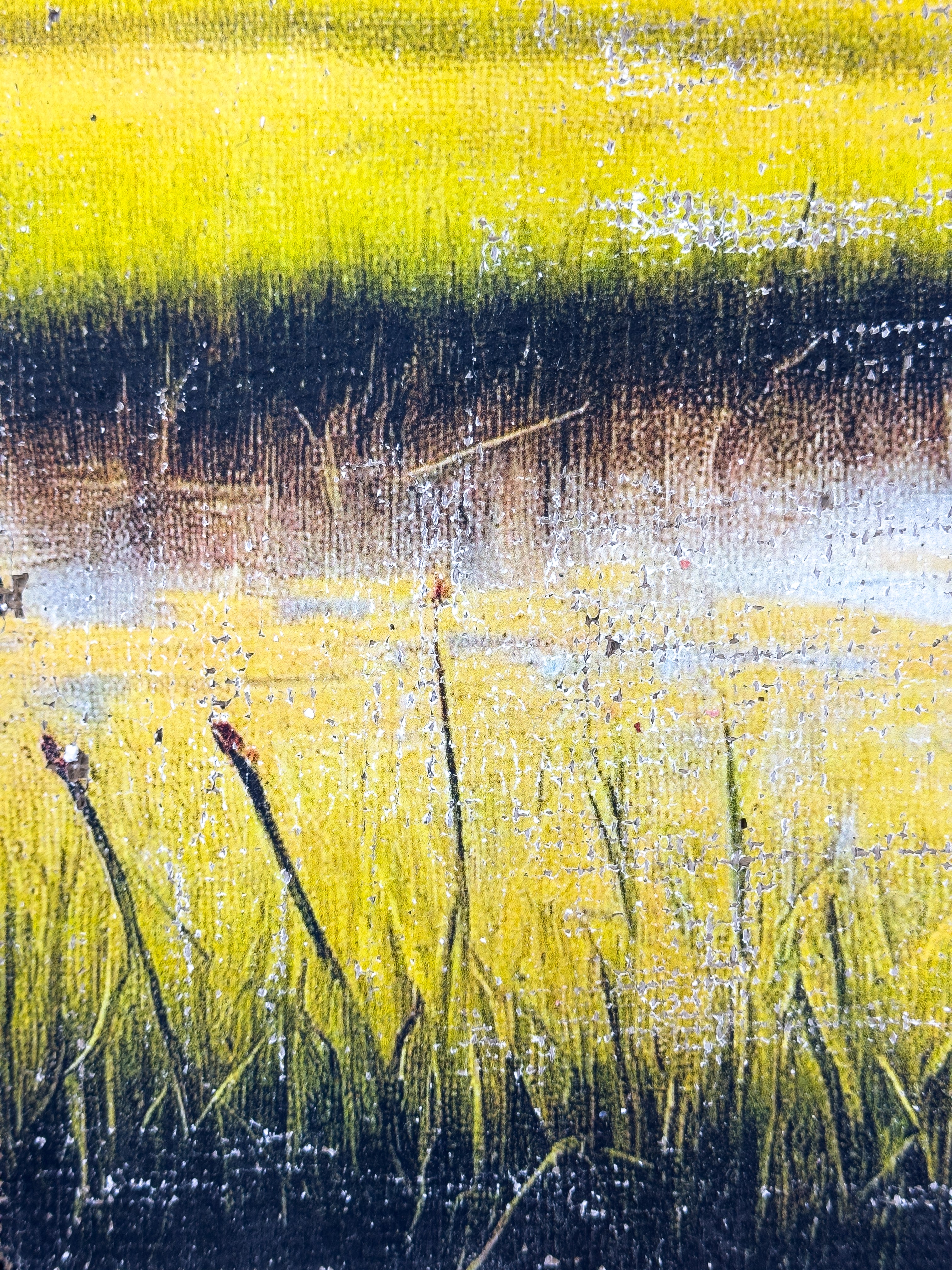 The Magic of the Marsh