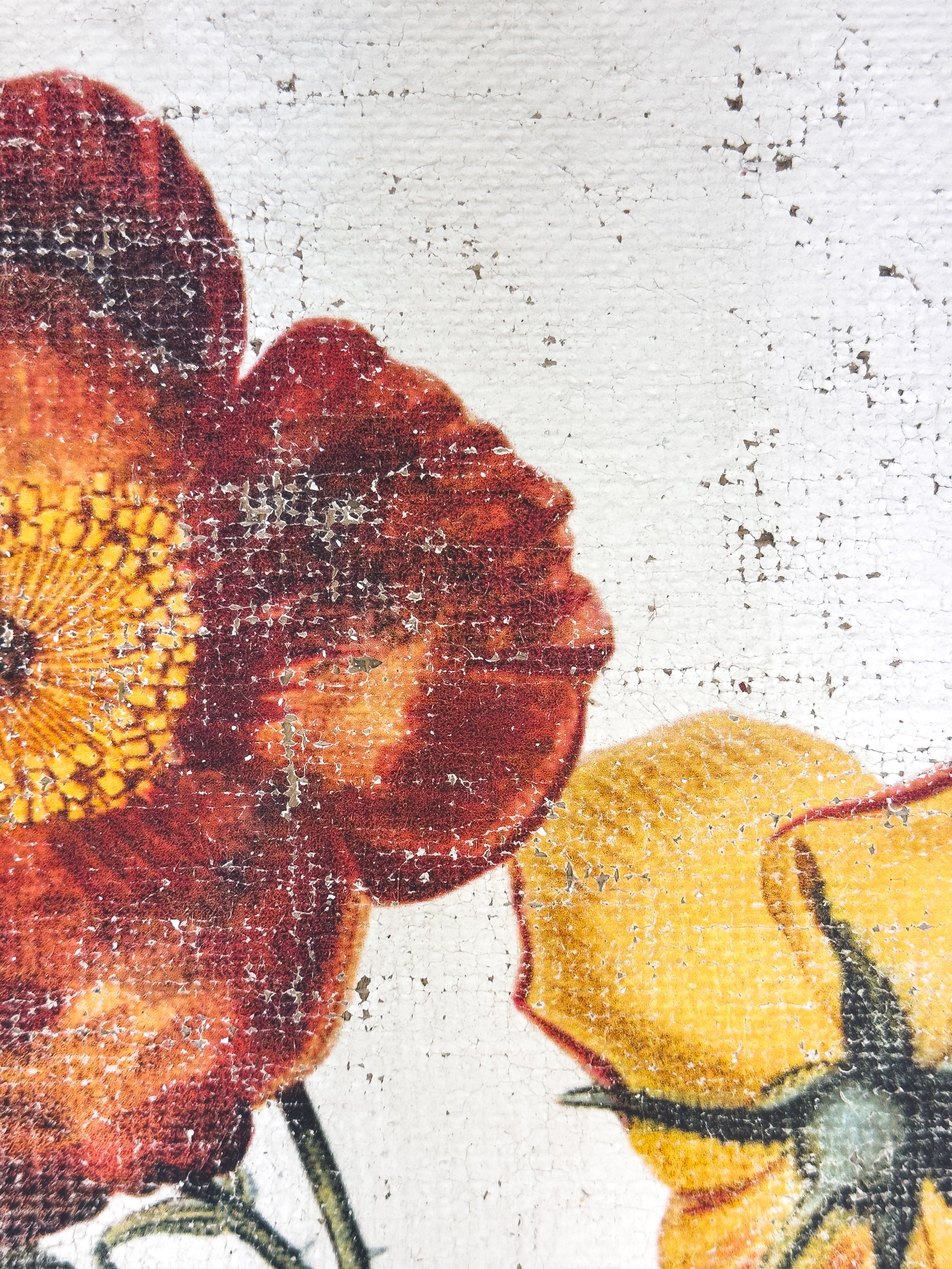 Red and Yellow Roses