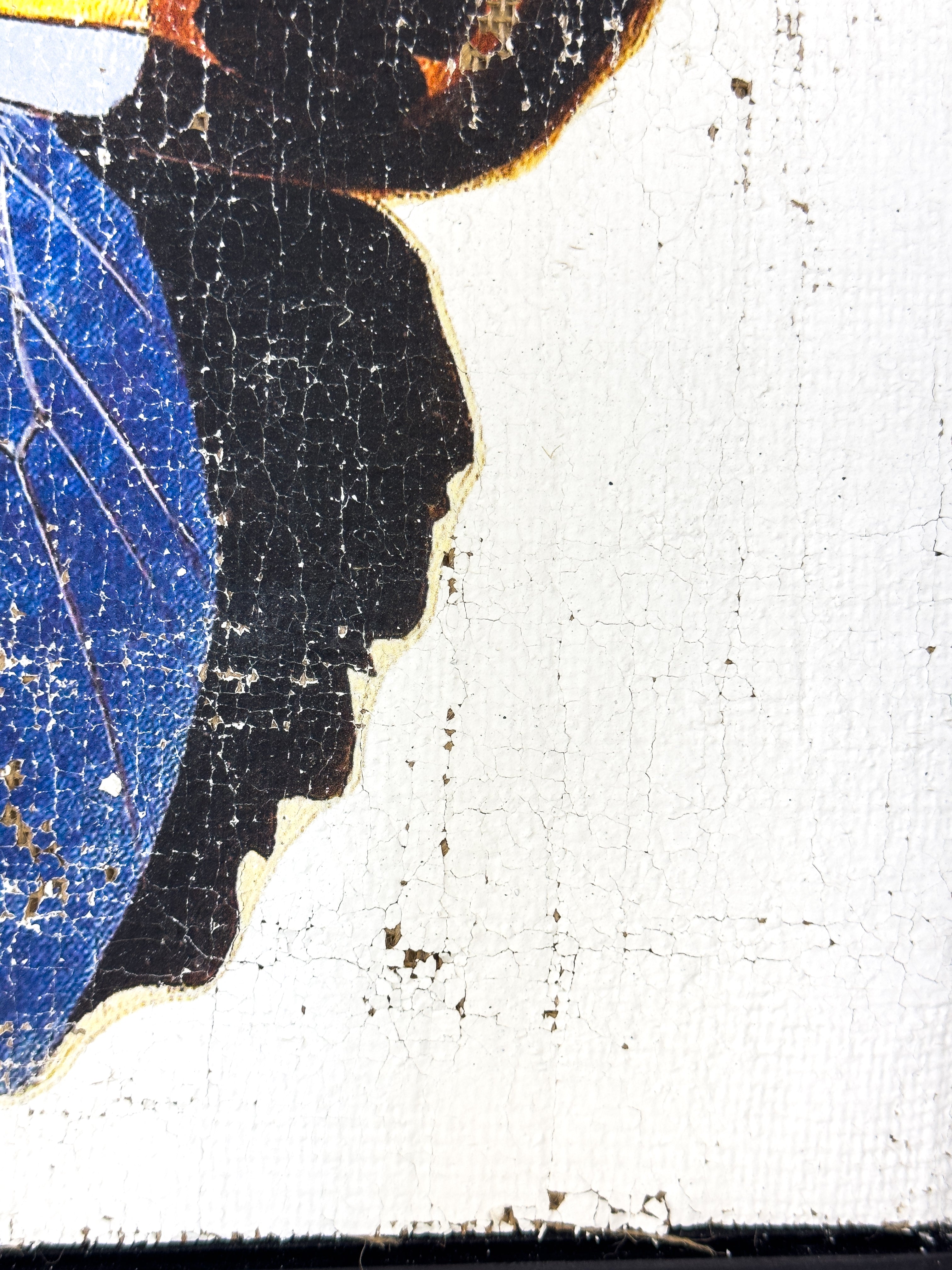 Blue brush-footed butterfly