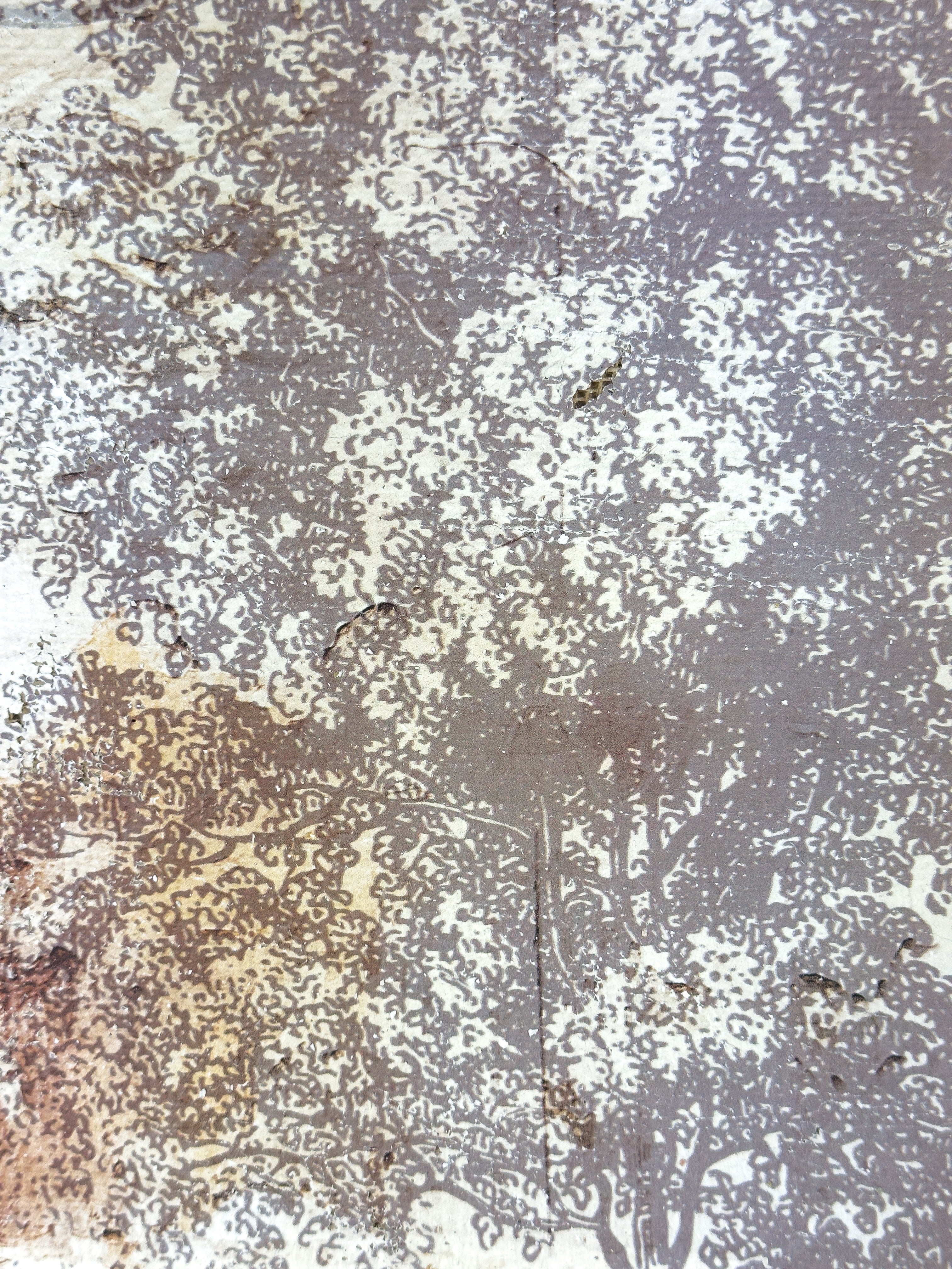 Vintage Tree - Time Stands Still