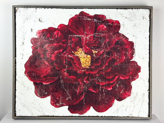 Velvet Rose