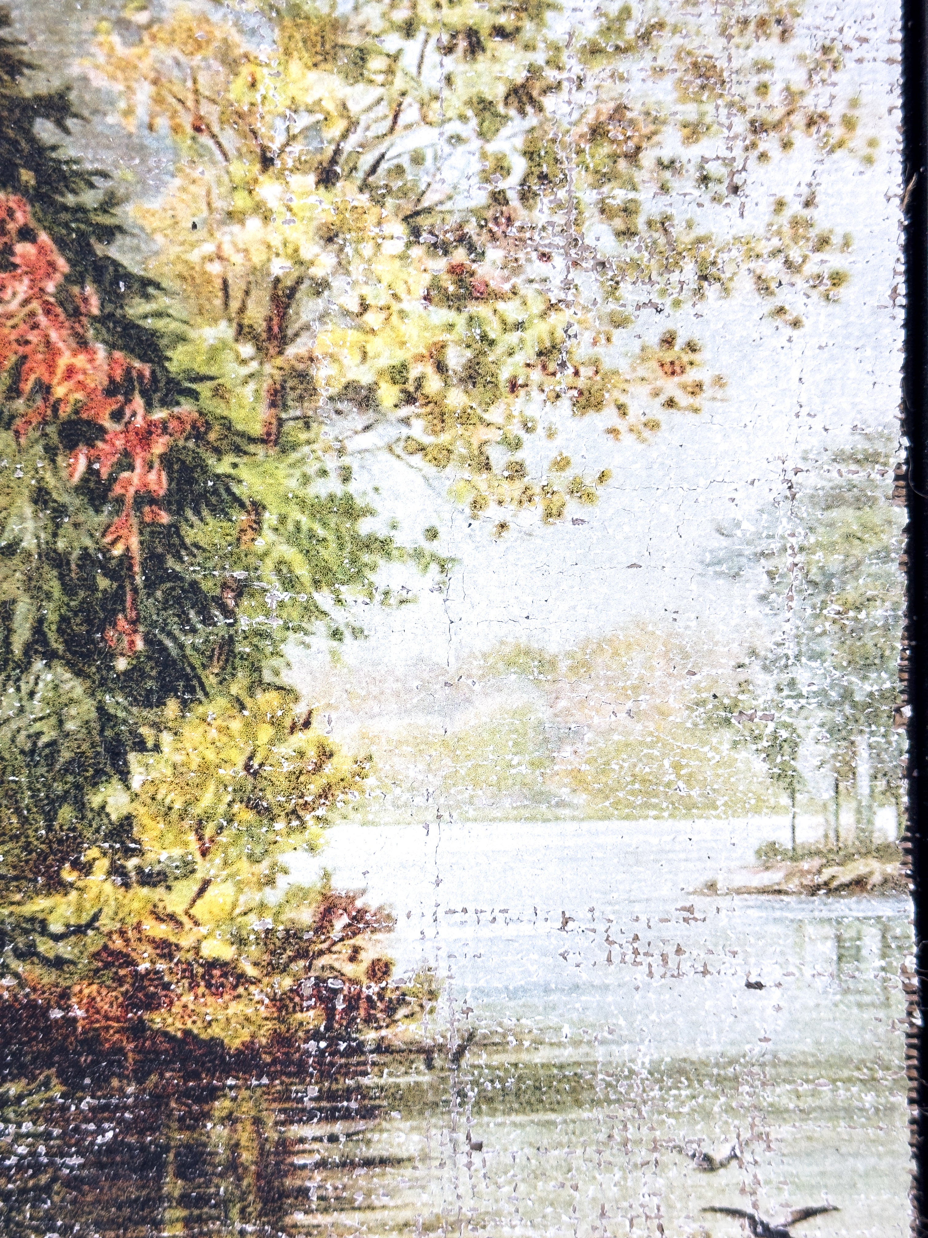 Vintage Fall Color - Changing Seasons