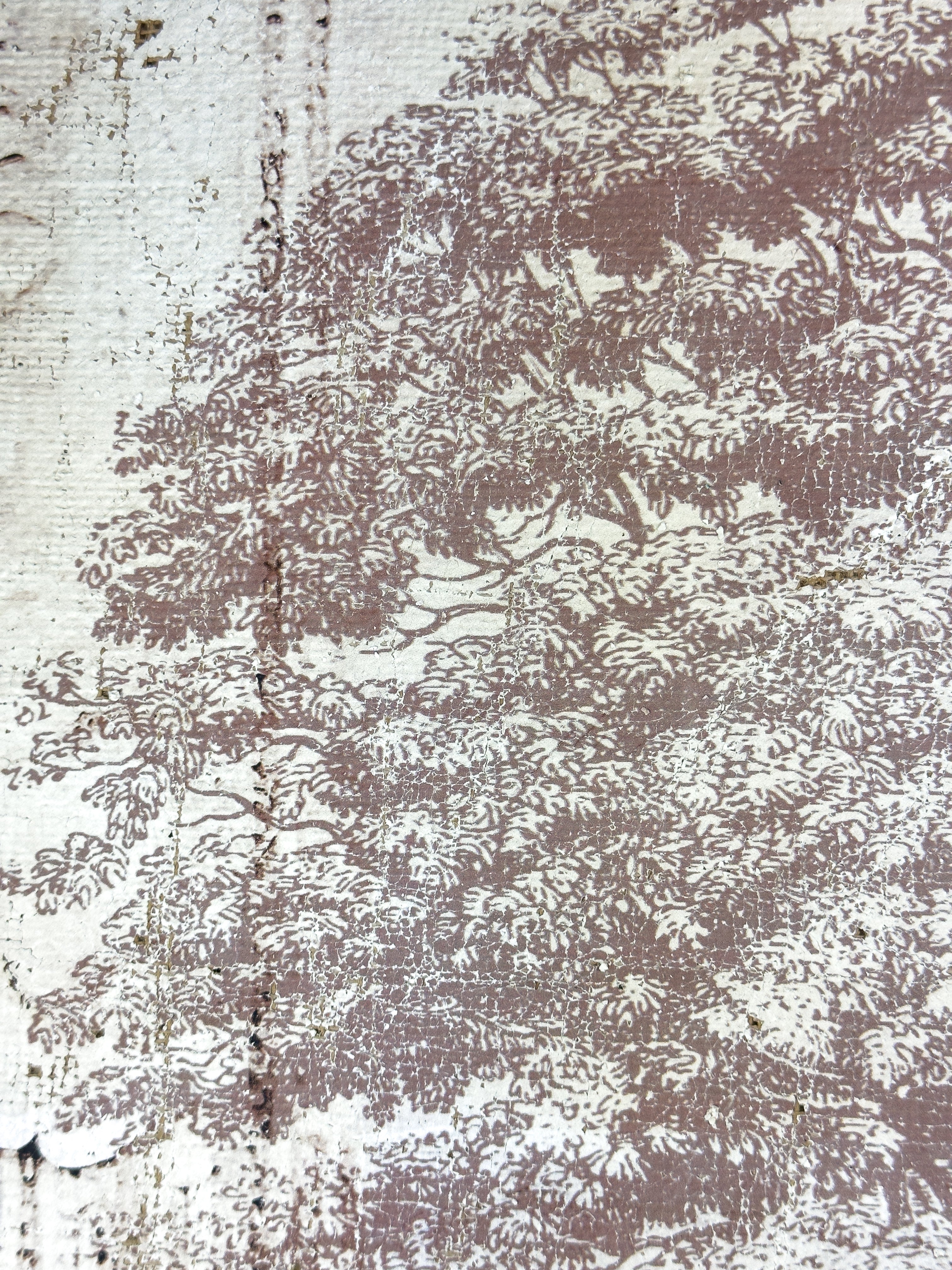 Vintage Ash Tree - Beneath the Ash