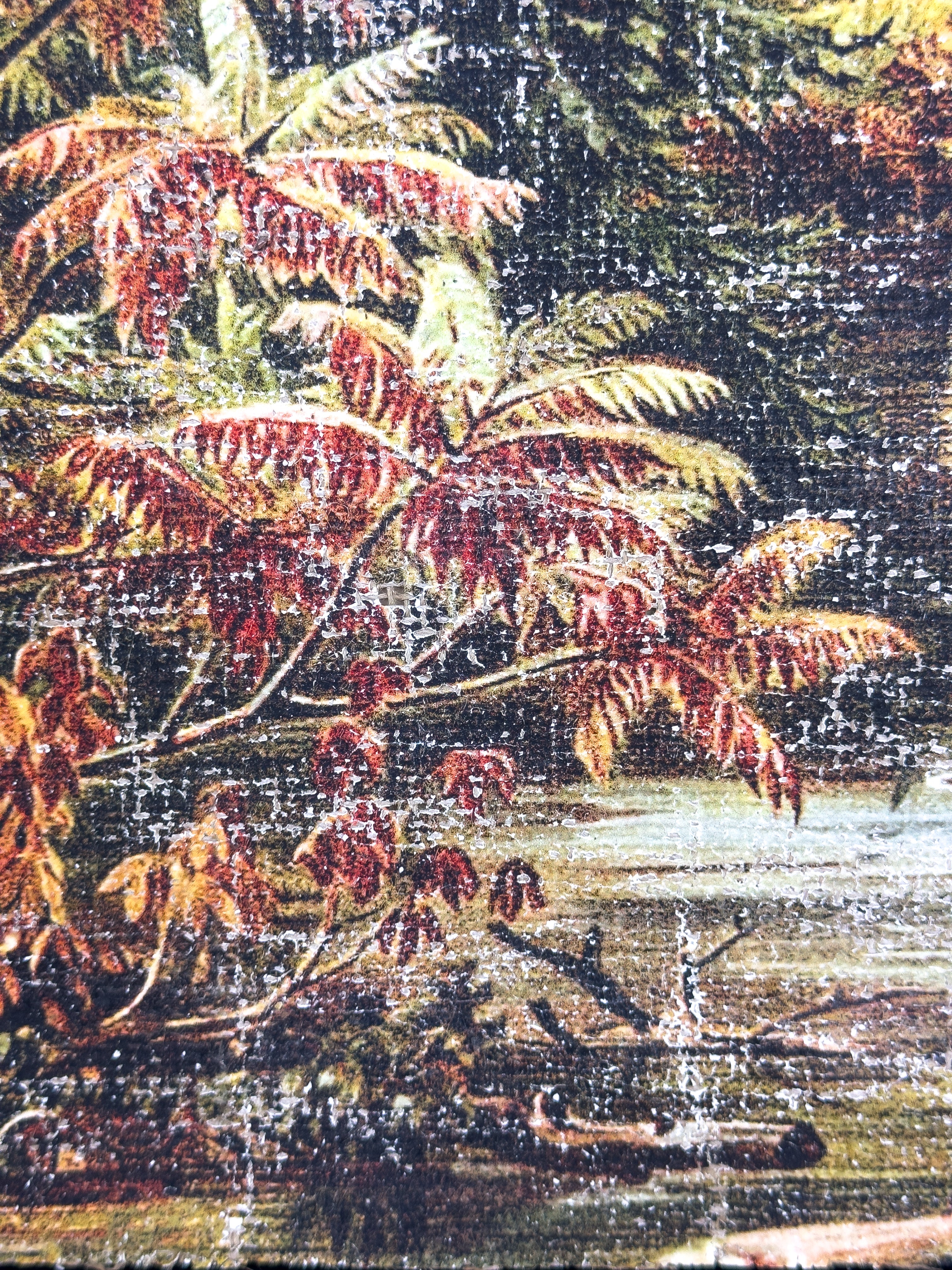 Vintage Fall Color - Changing Seasons