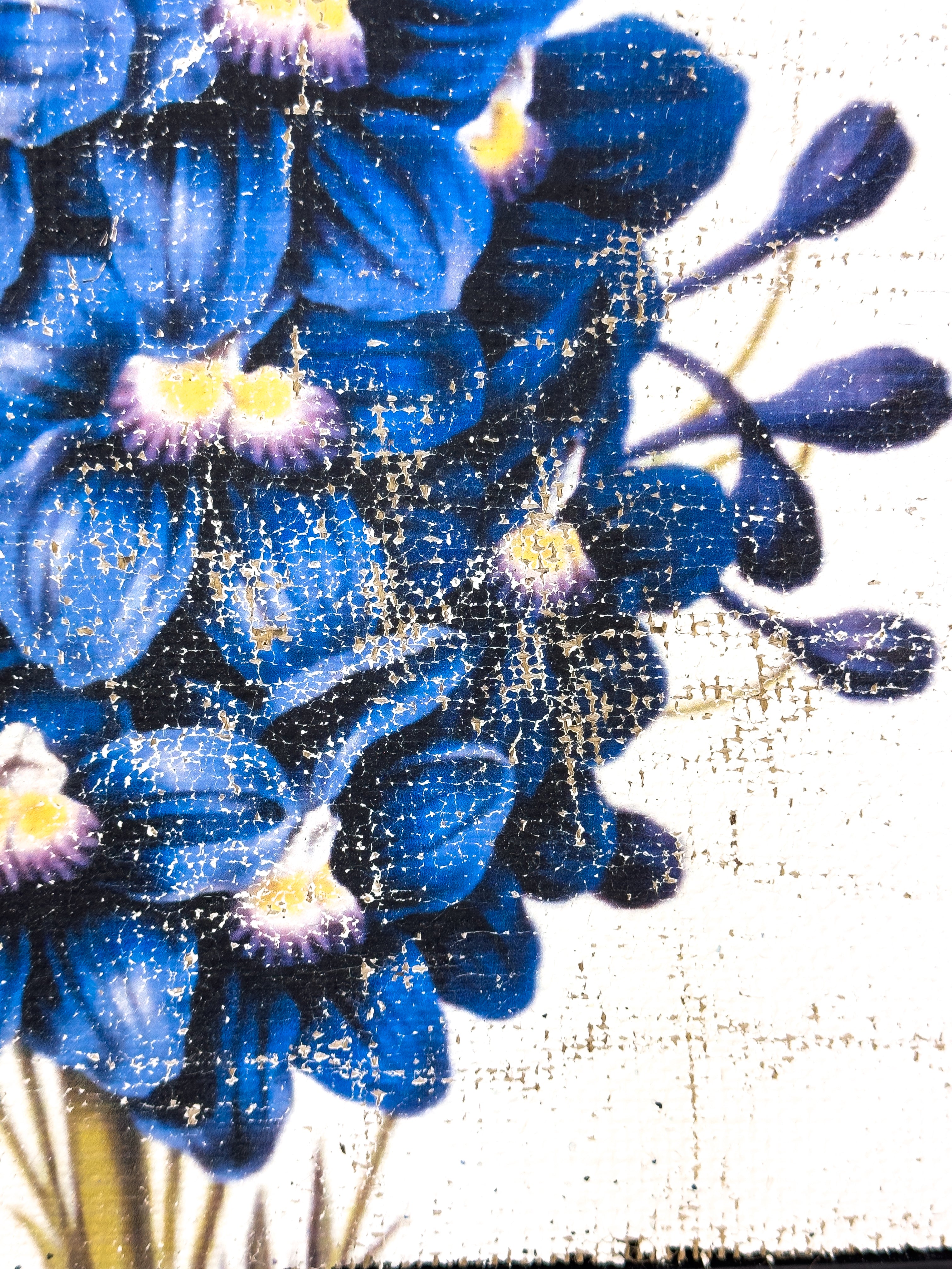 Blue Flowers of Radiance