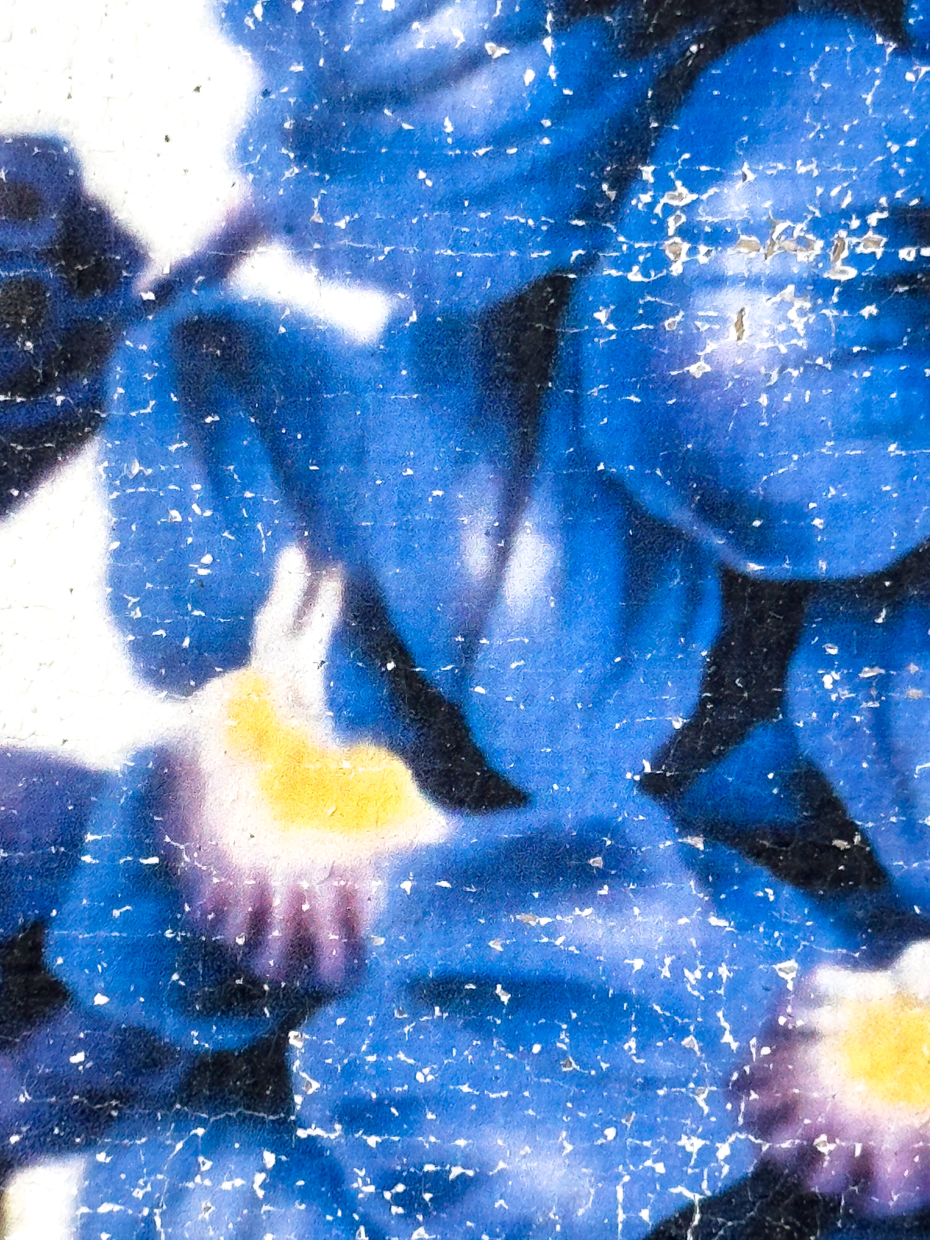 Blue Flowers of Radiance