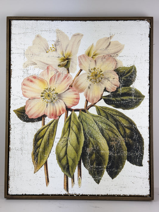 Pink and Cream Flowers - Winter's Jewel